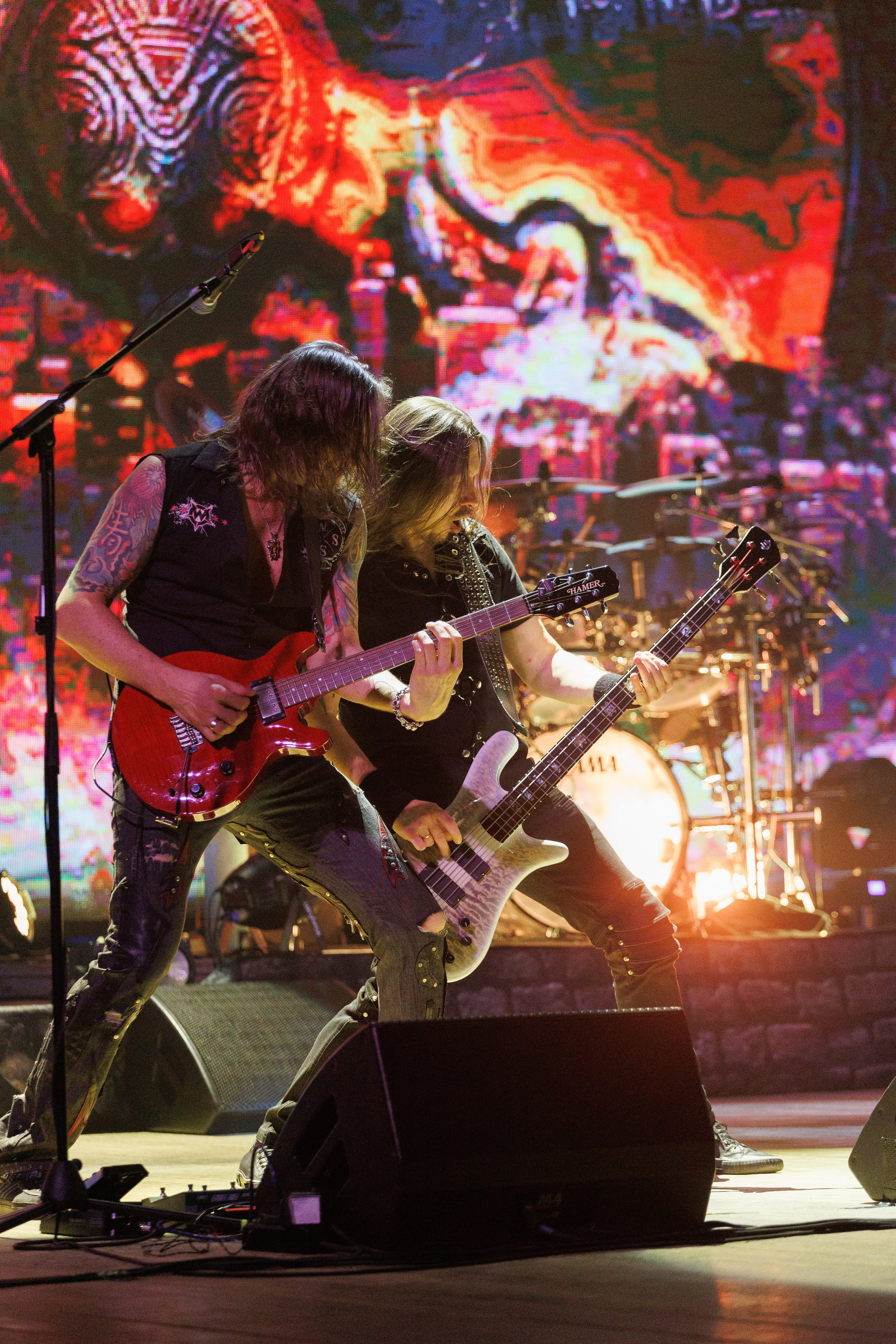 «КИПЕЛОВ». Photomantis