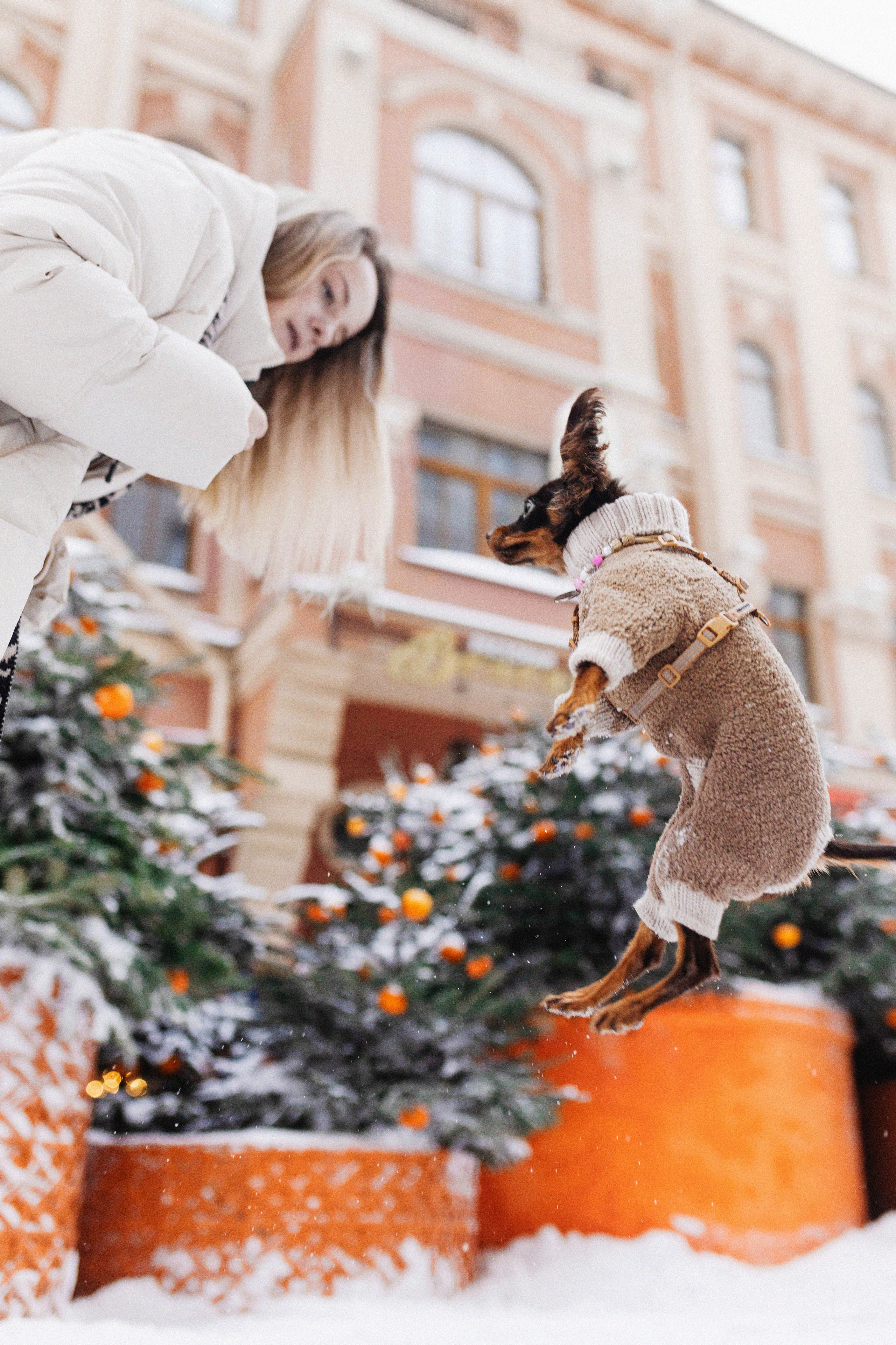 Москва / Даша и Тикки. Фотограф Кузина Вера