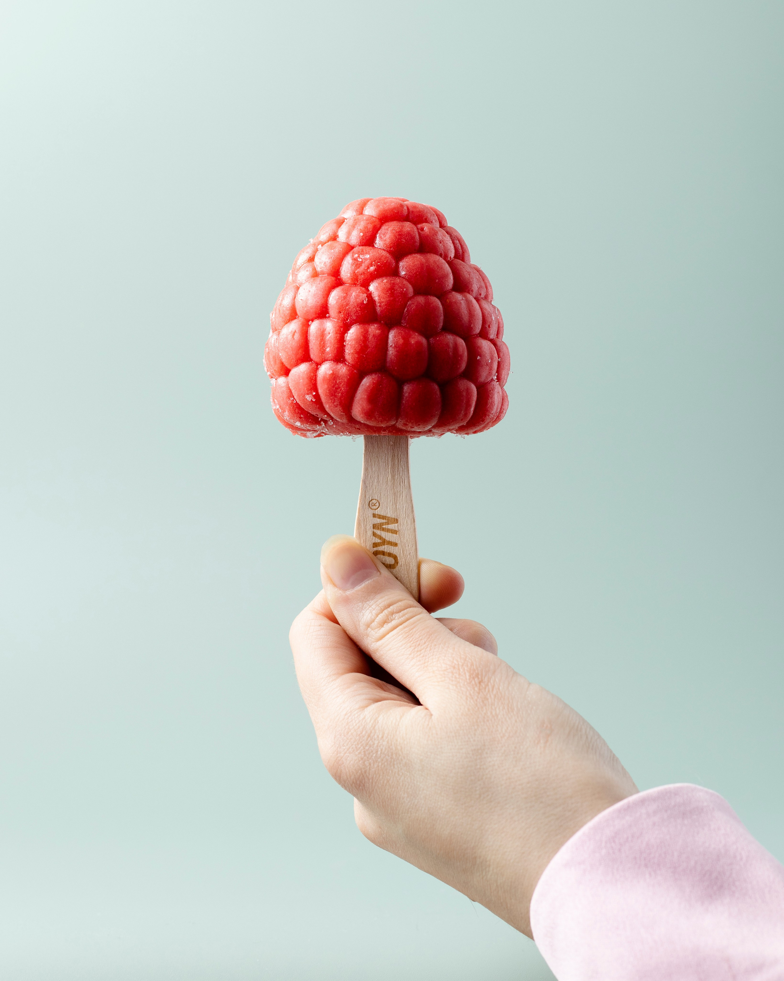 Скульптурное мороженое Stoyn