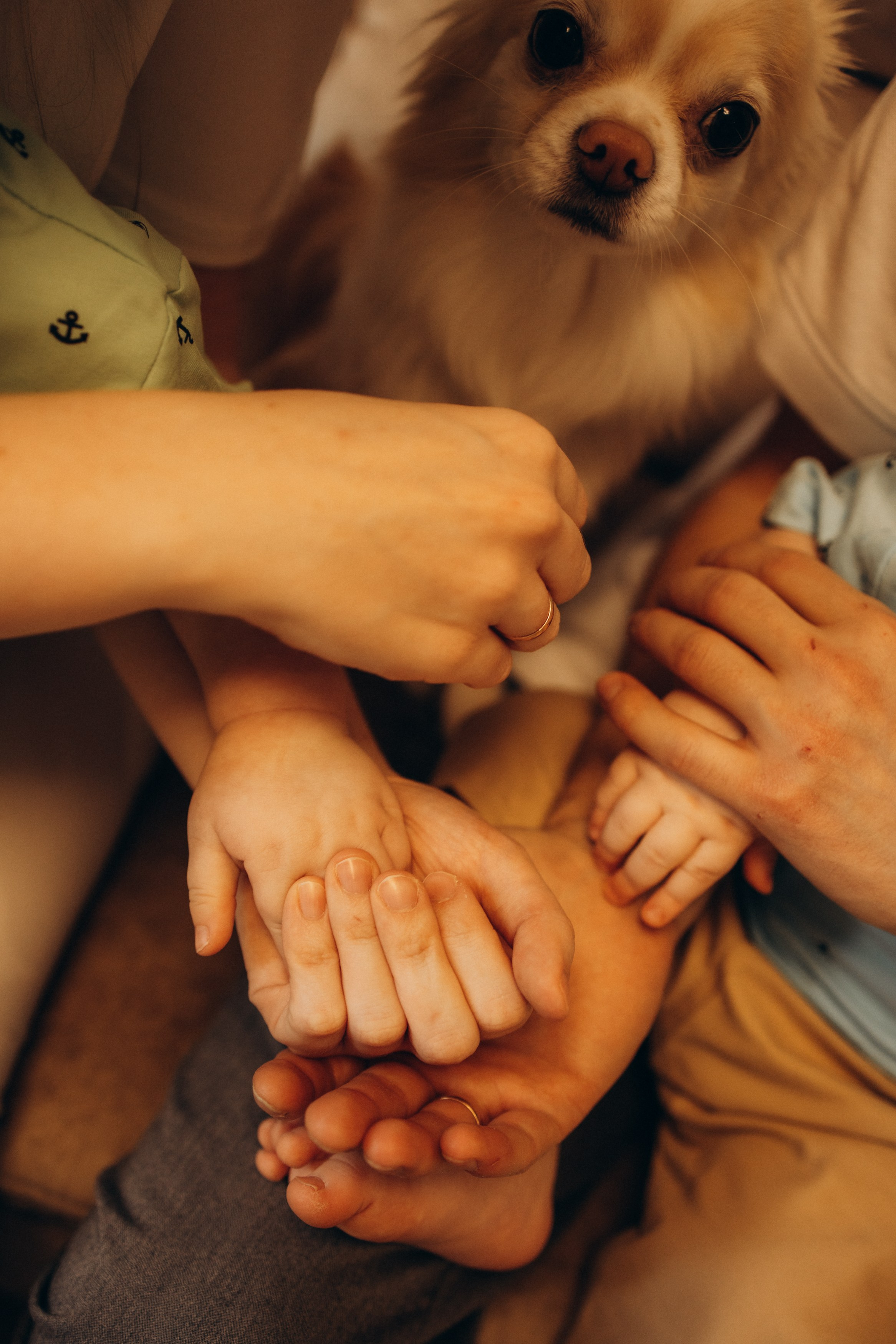 Годик. Семейный, ньюборн newborn фотограф, фотограф новорождённых в Санкт-Петербурге, Пушкине, Павловске. Павлова Анастасия