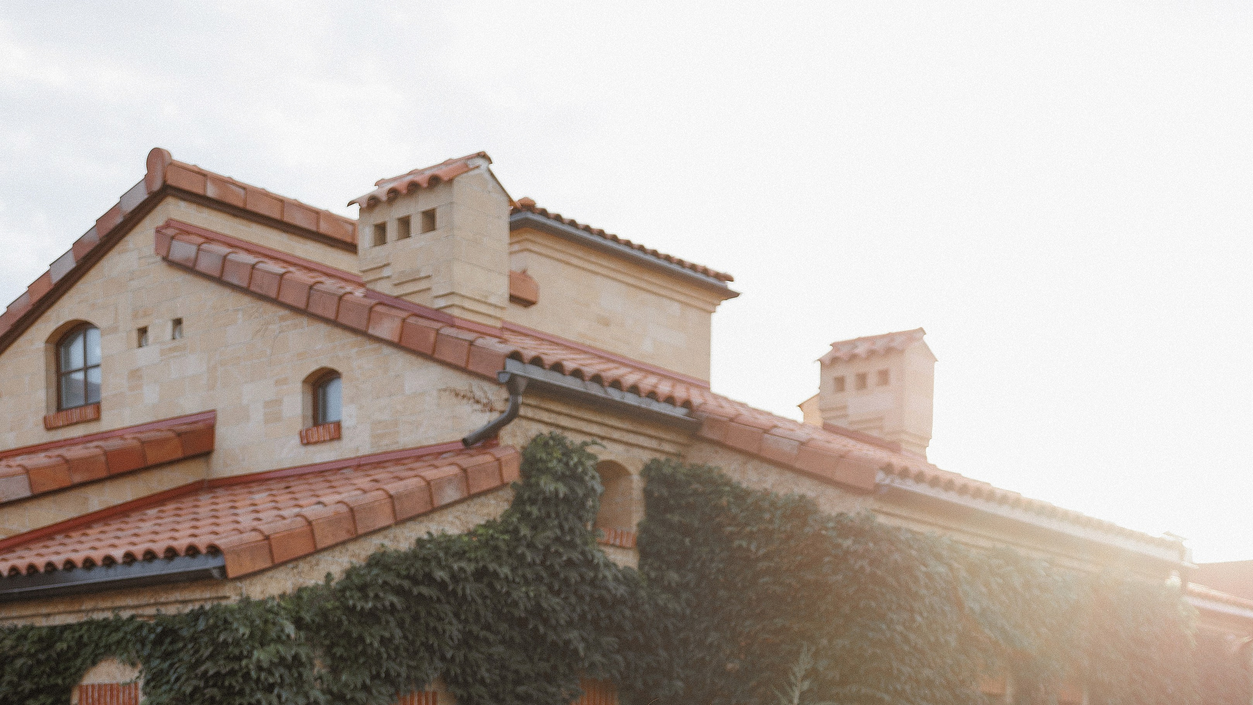 Эмма. Фотограф Эмма Хатламаджиян