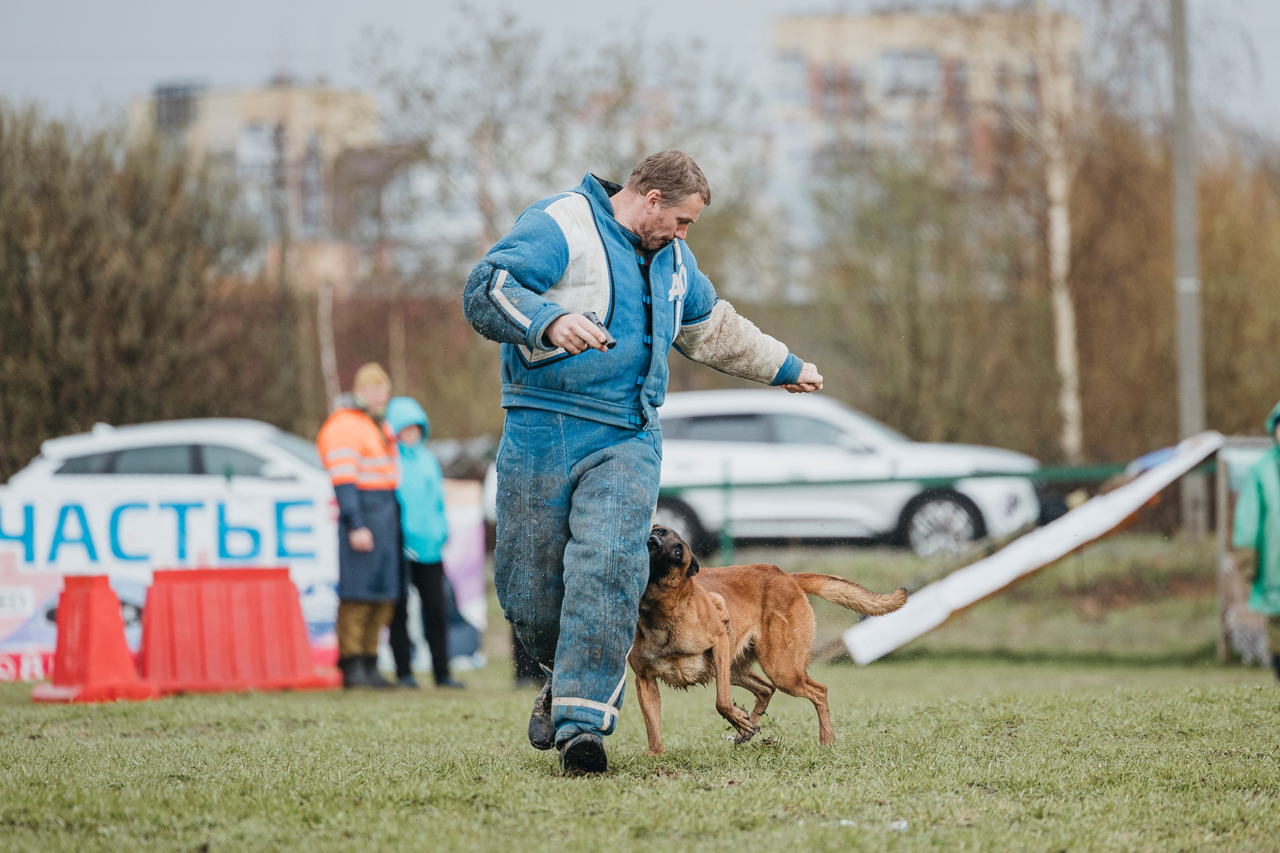 09.05.25 Вологда соревнования. Фотограф-анималист Анна Маринич