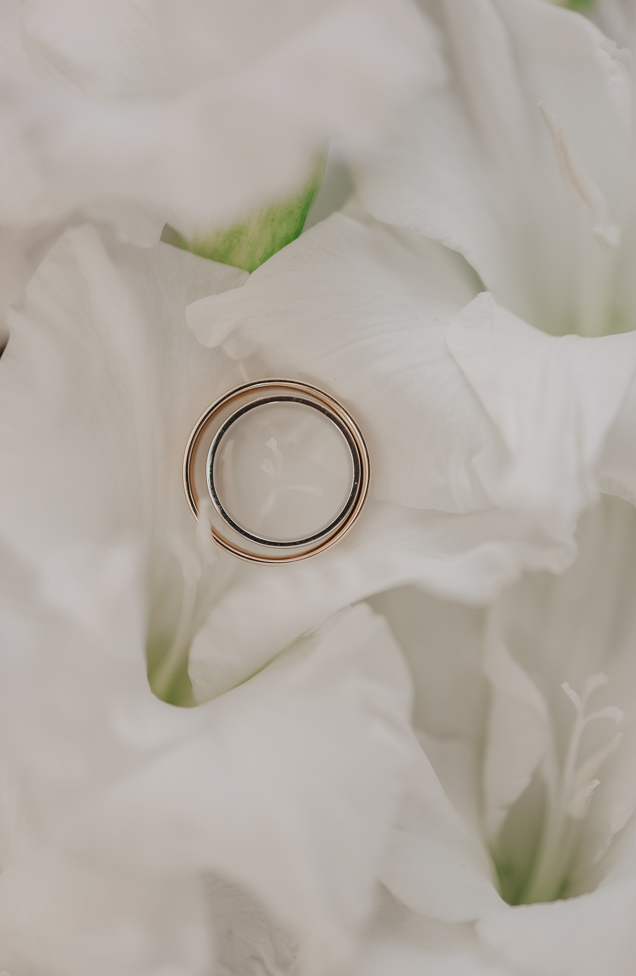 Вячеслав и Анастасия. Фотограф и видеограф в Москве Полина Абраменкова