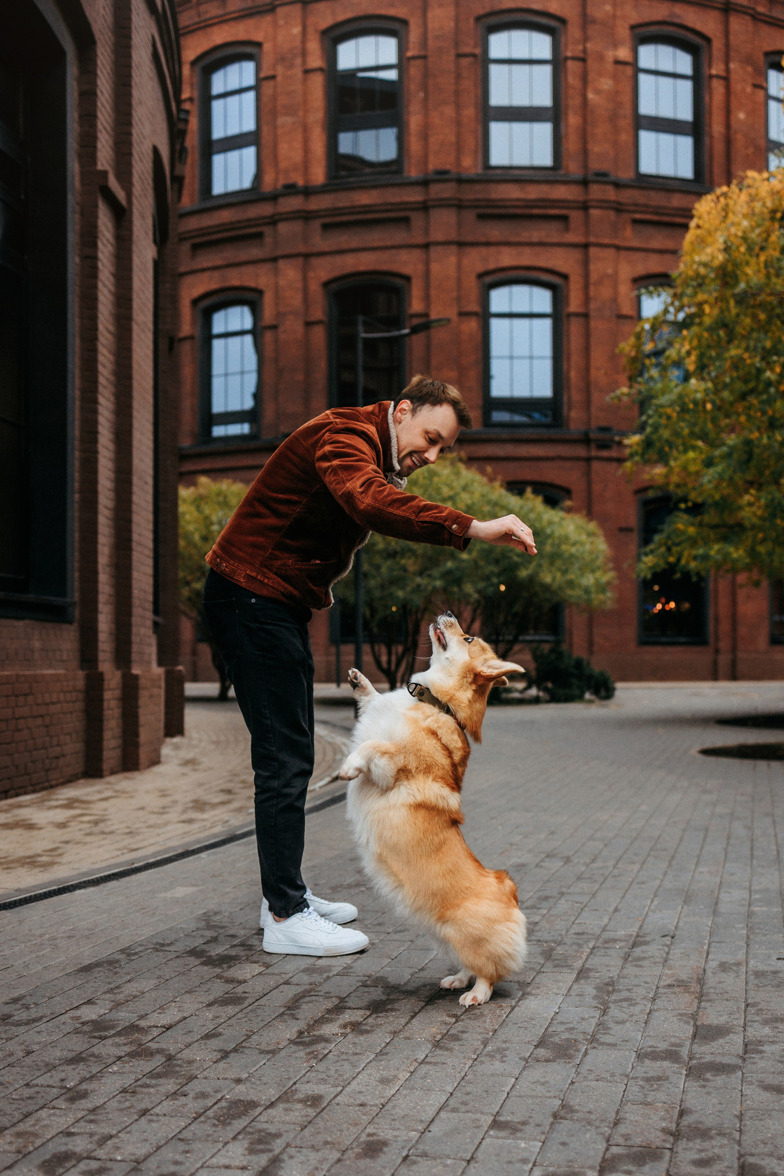 Вера, Саша и Муна. Фотограф-анималист Елена Радченко, Москва