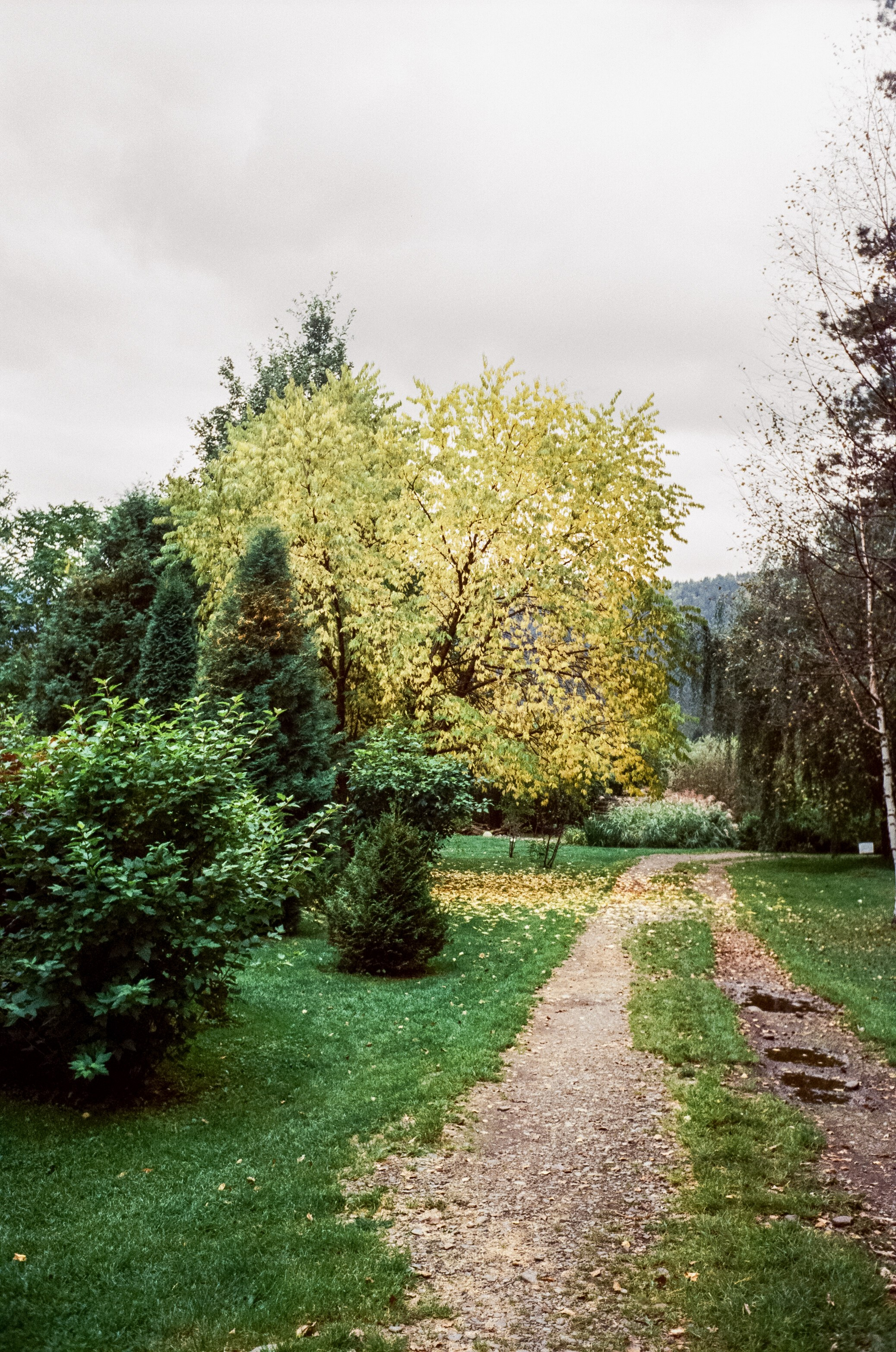 Горный Алтай на пленку