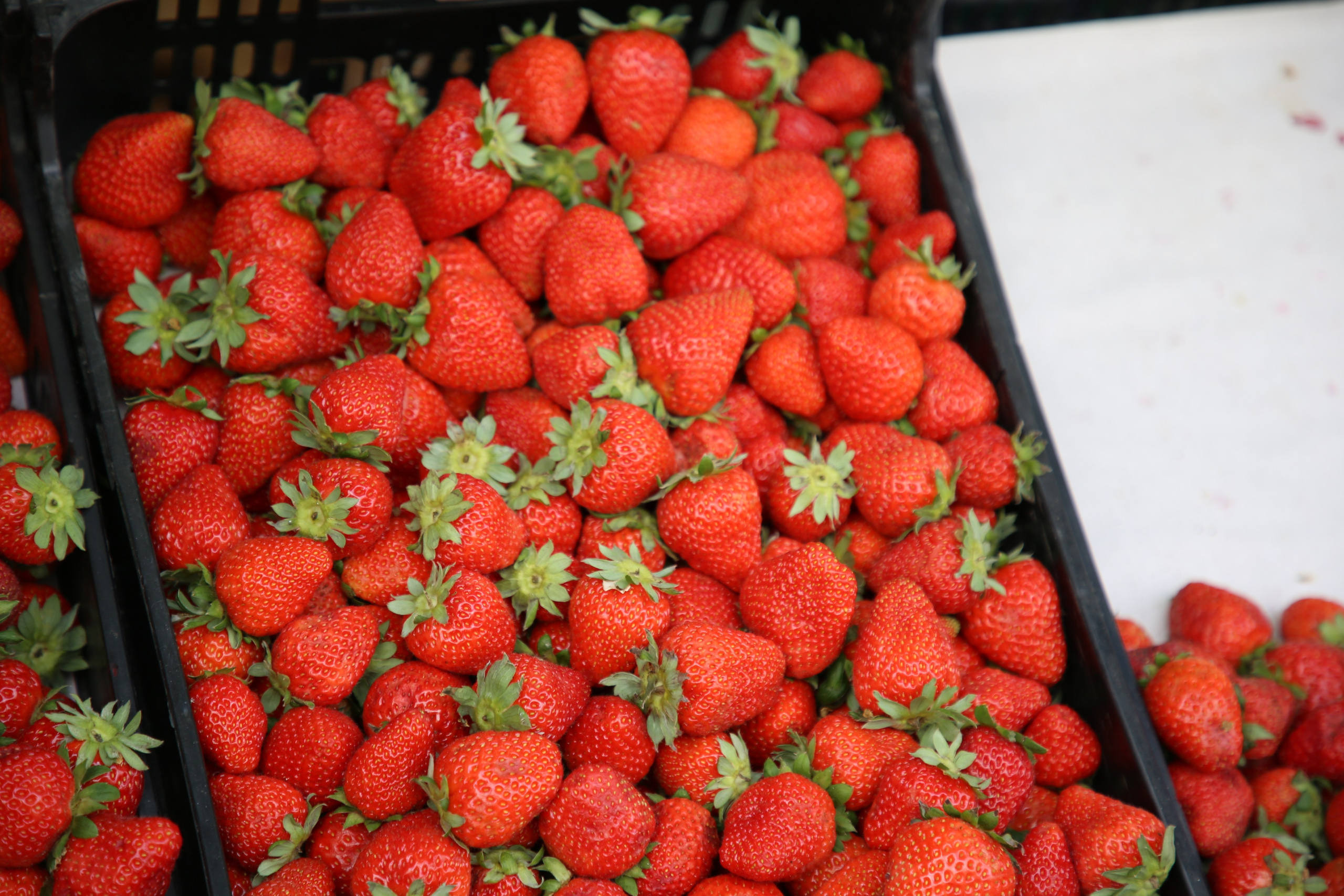 Porto, Portugal. Andrey Filippov Photographer