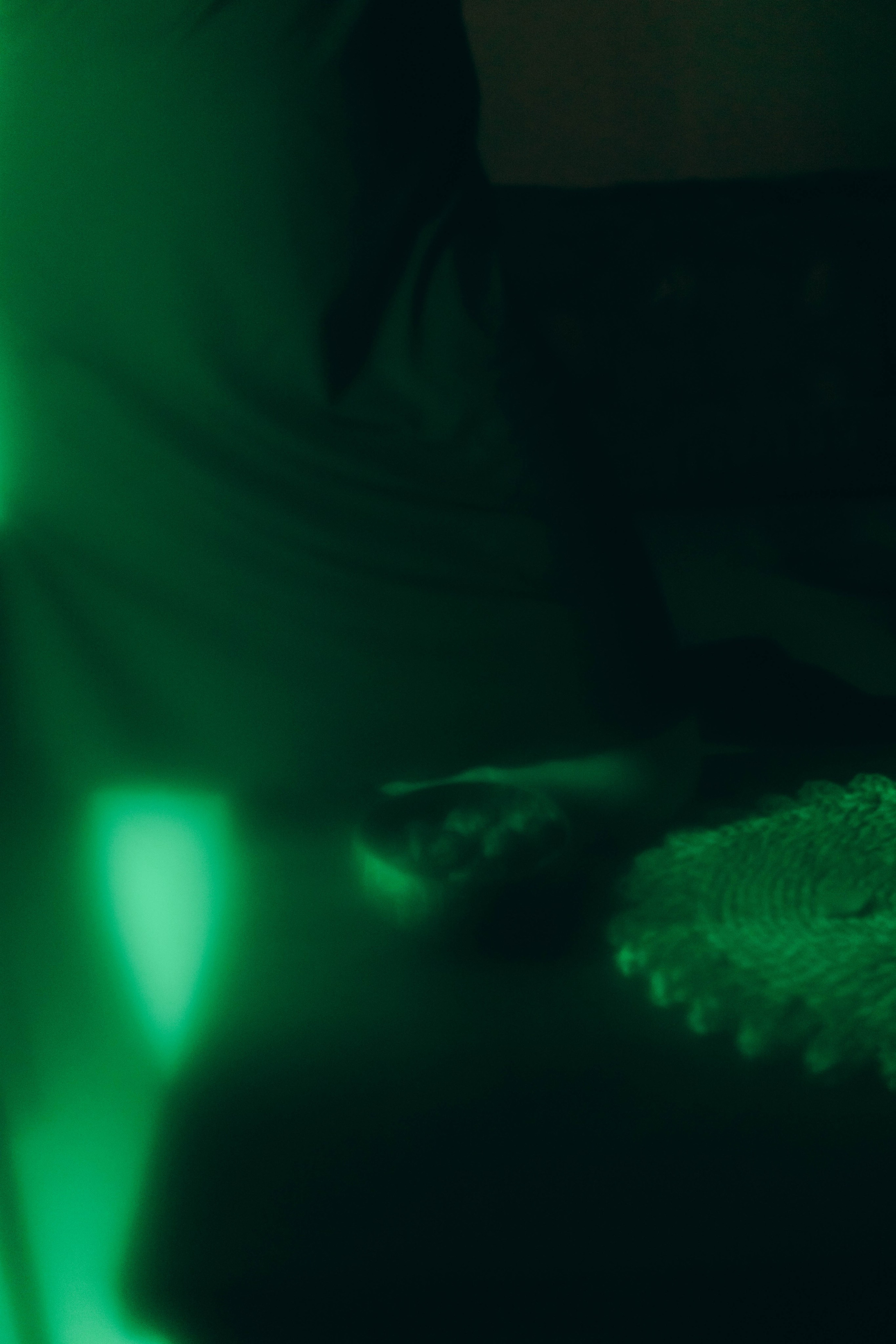 Милена. Фотограф-анималист Ксения Воробьева, Москва