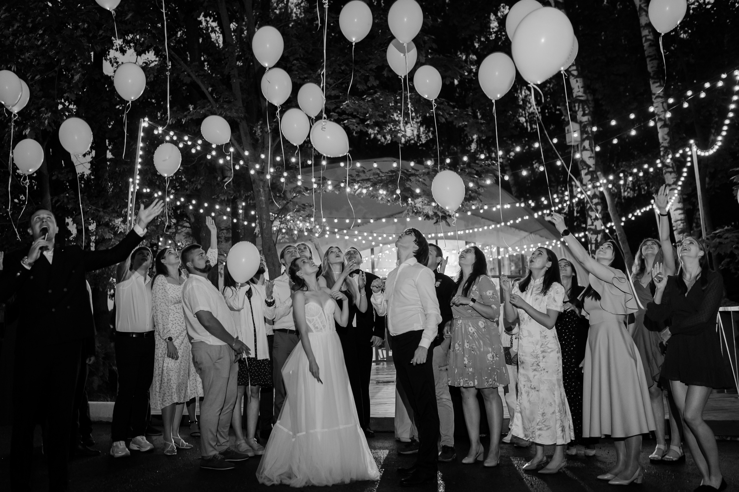 Алина & Алексей. Свадебный фотограф и видеограф Дмитрий Власов