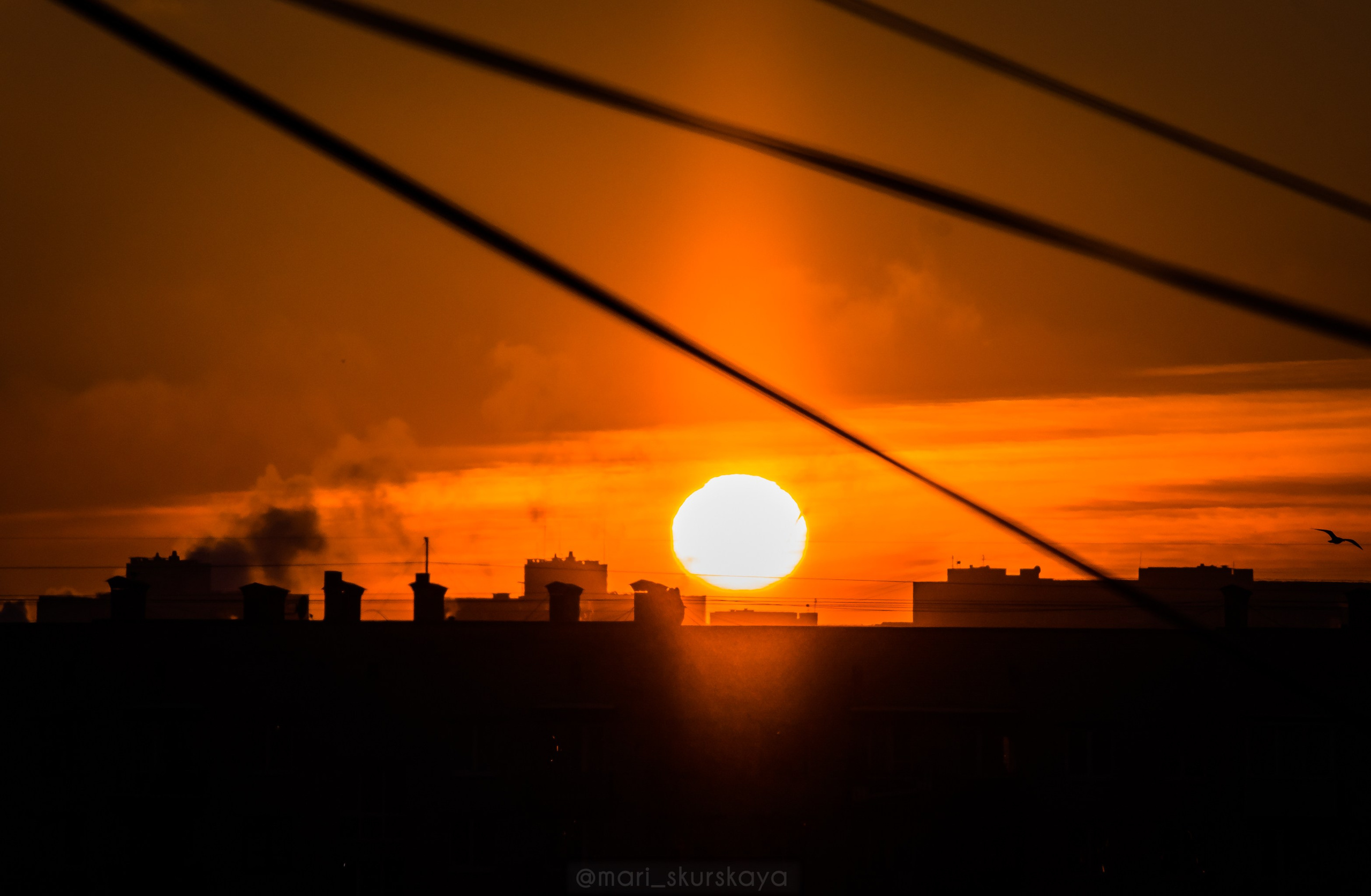 Закатный Санкт-Петербург. Мотофотограф в Санкт-Петербурге Мария Скурская