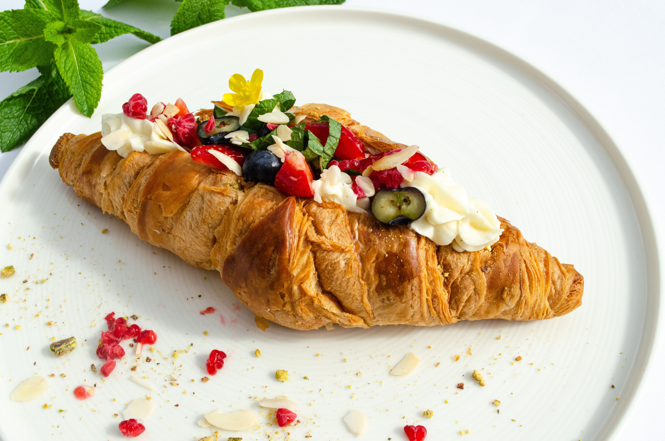 Роза Хутор Modys ресторан. Фотограф