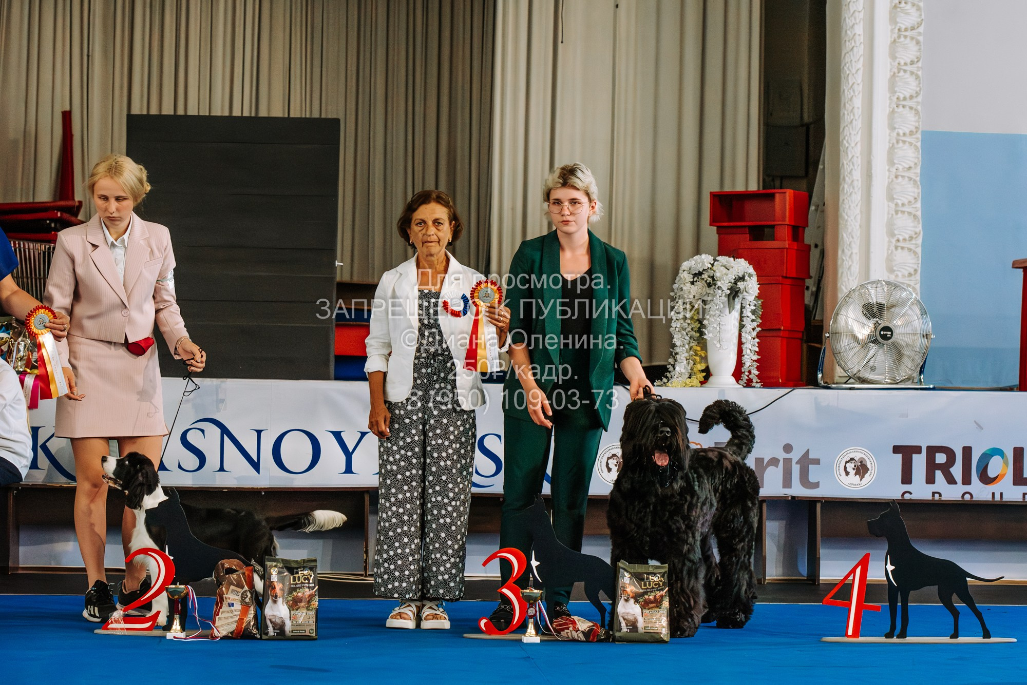 Национальная выставка собак всех пород ранга САС-IKU «Кубок Красноярск. Фотограф Диана Оленина Красноярск / Братск