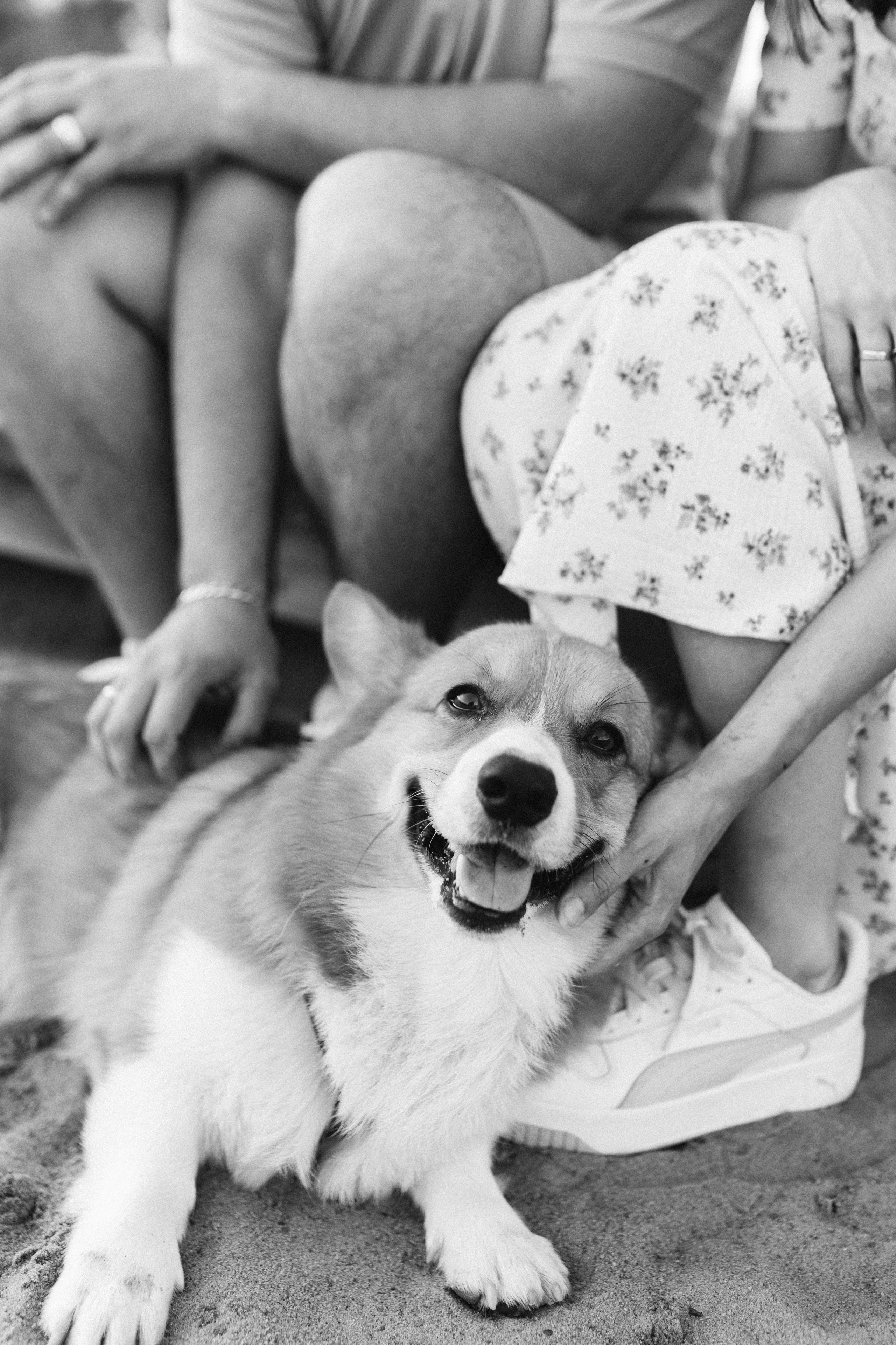 Эля, Денис и Сэми. Фотограф в Нижнем Новгороде Лебедева Елена