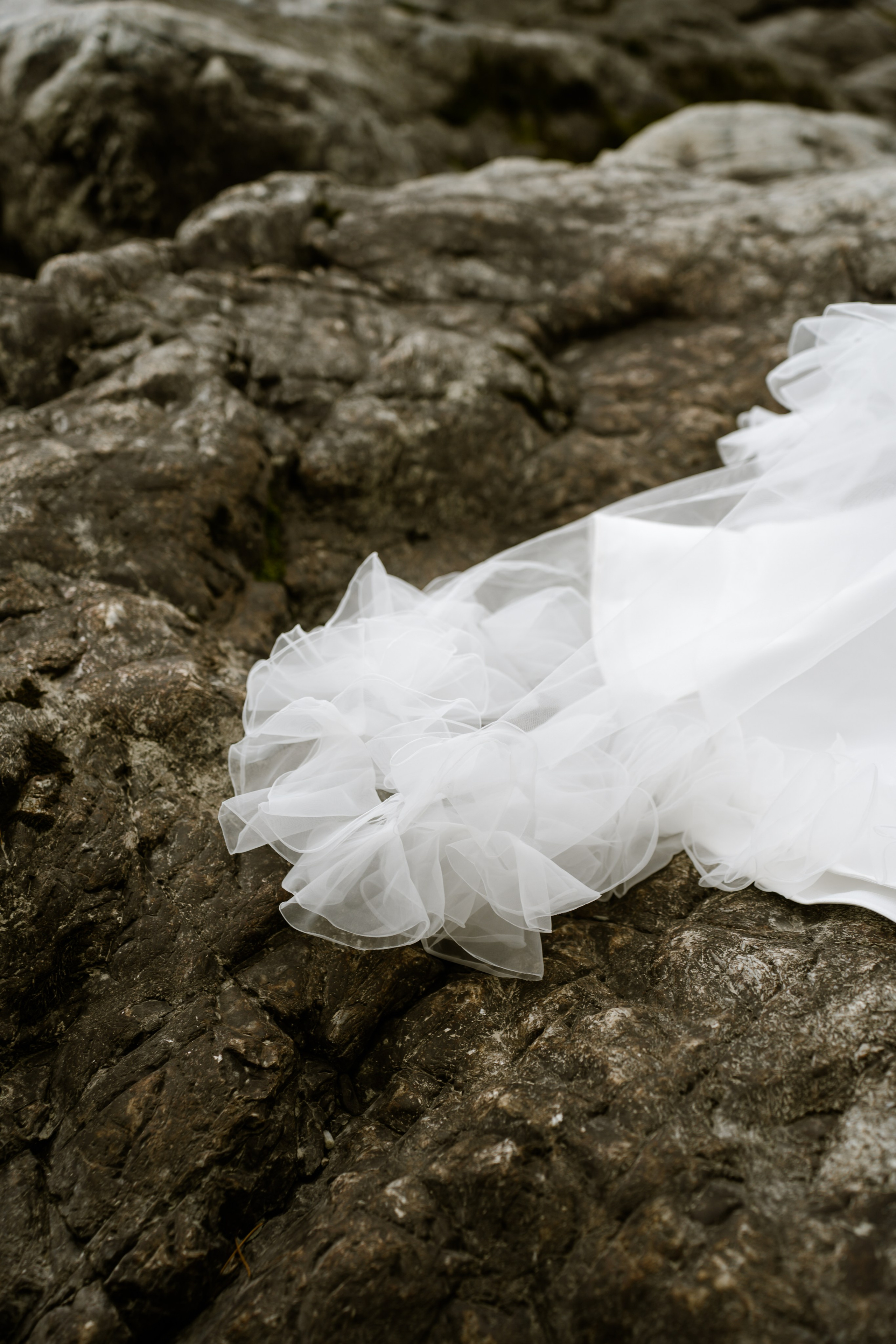 Свадебное портфолио. Фотограф Новокузнецк