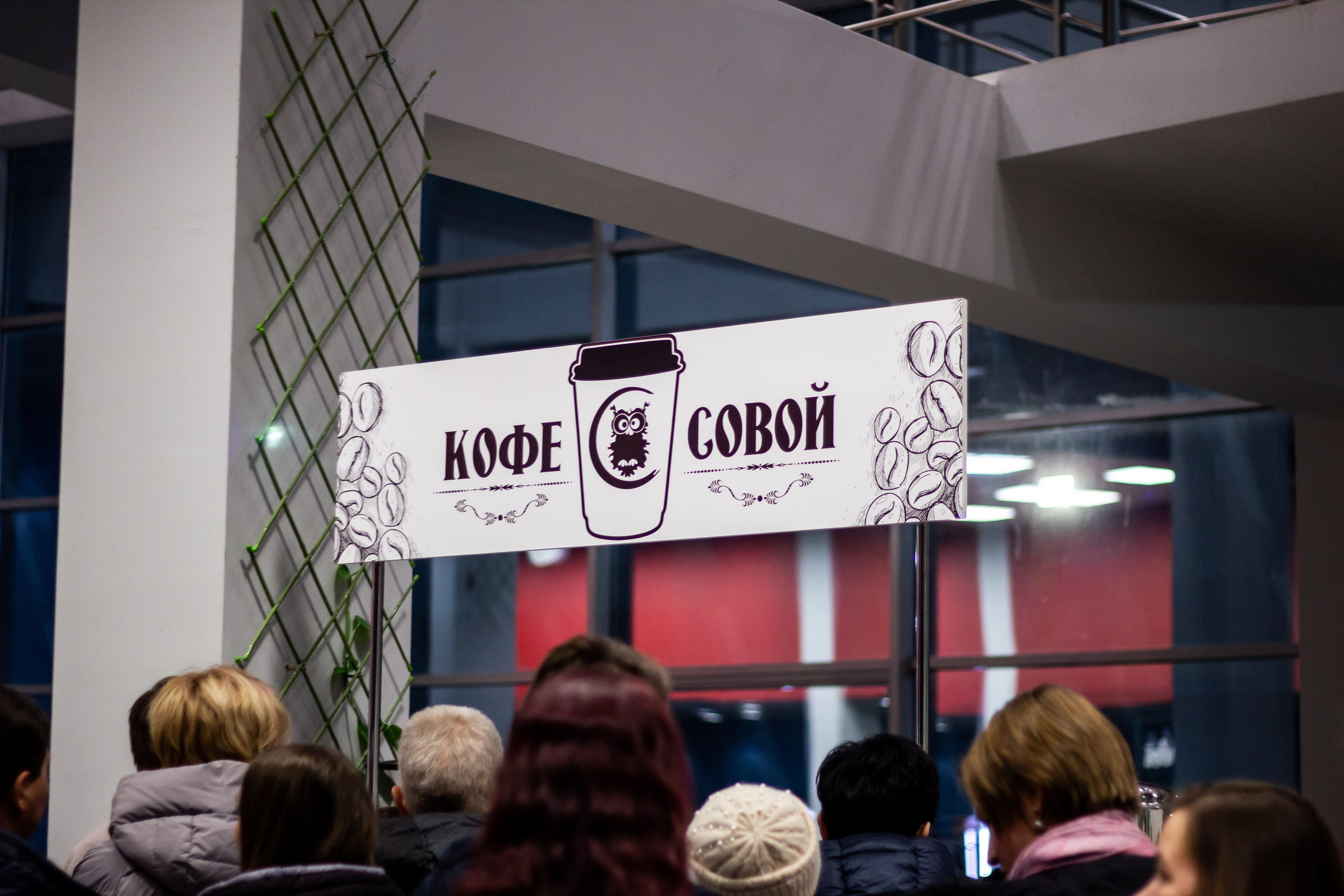 Концерт БИ-2. Фотограф в Самаре / Олеся Широнина