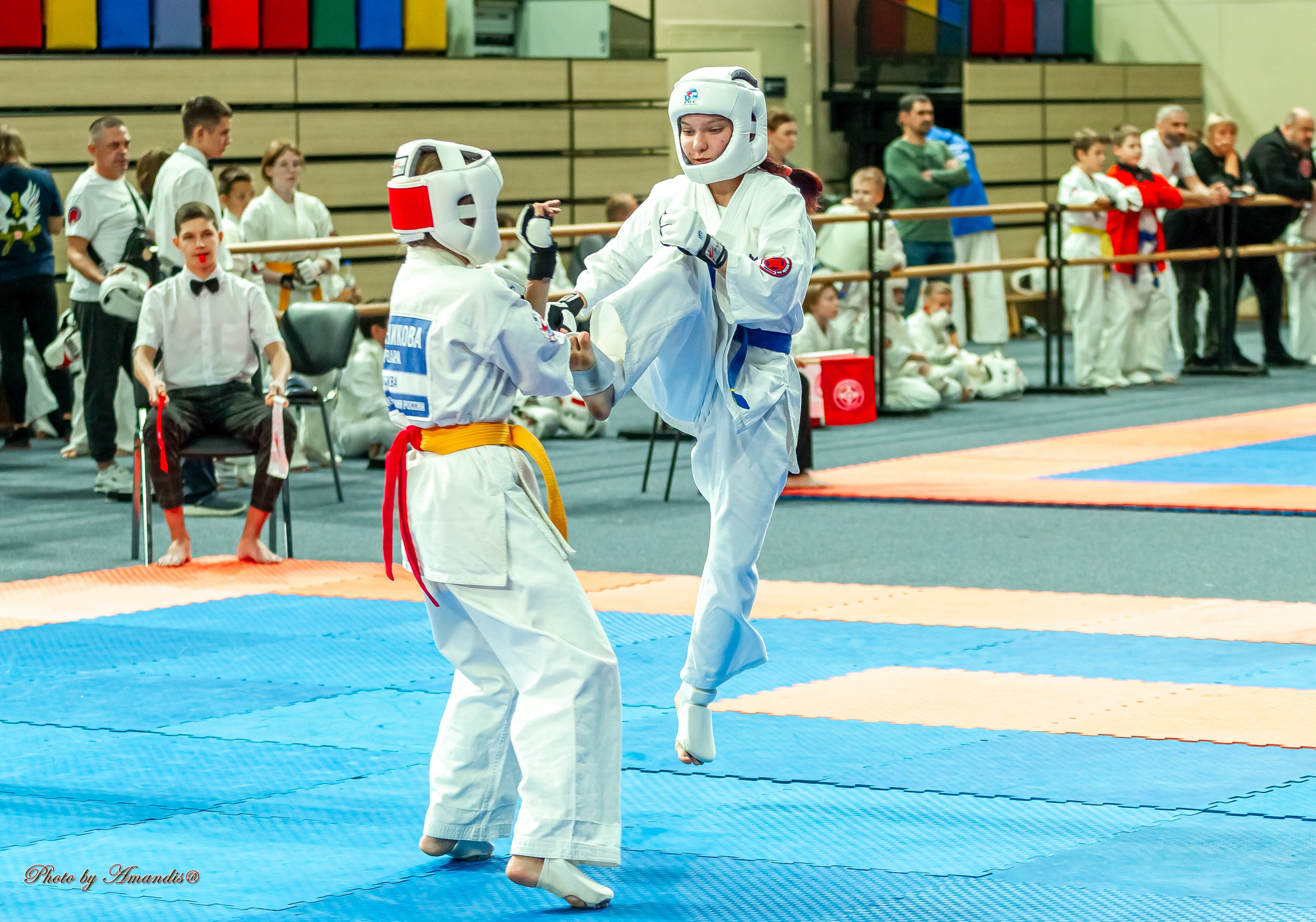 Первенство Московской области по Киокушин в СК «Жаворонки». Репортажная съемка в Москве и области. Анималистика