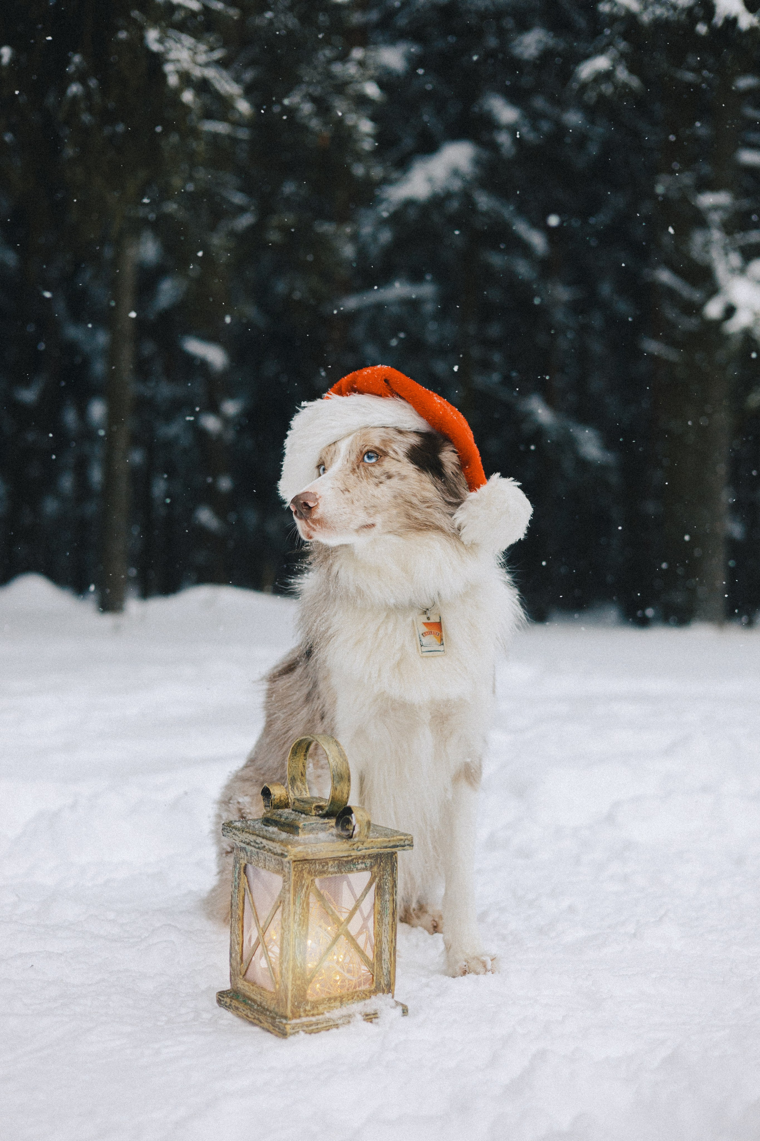Настя и Ваня. Фотограф Анна Луценко Москва