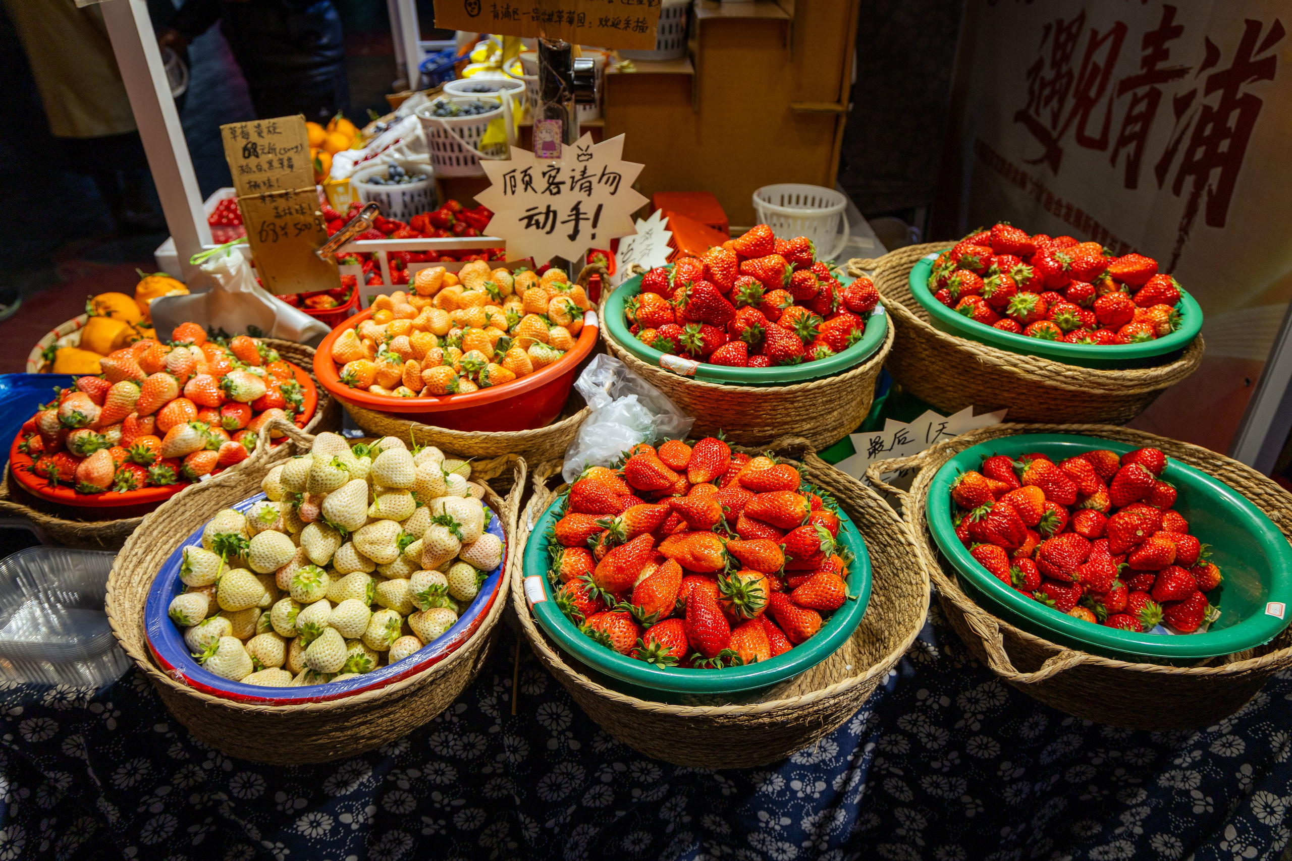 Шанхай (март 2026). Фотограф Виноградов Константин