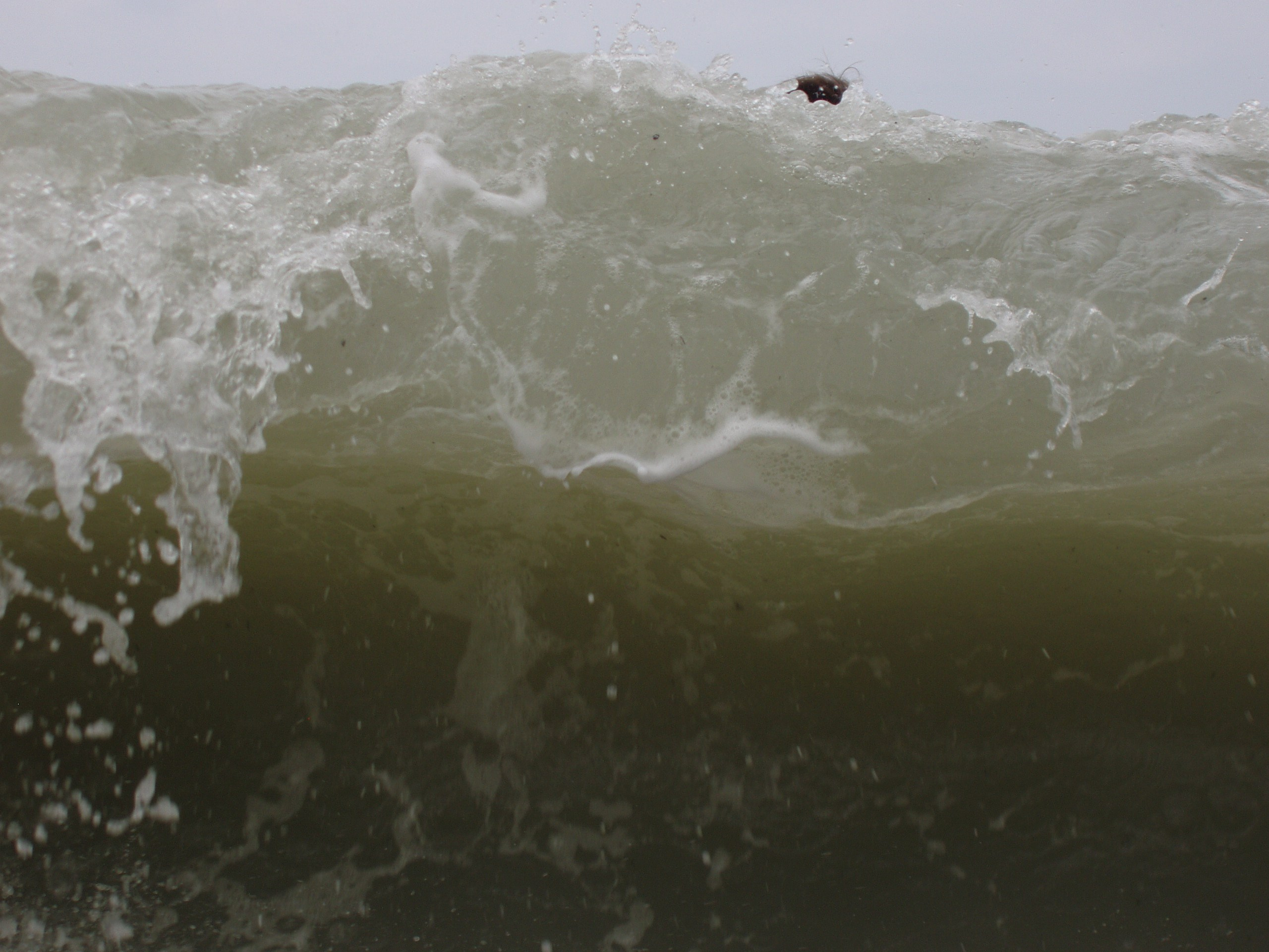 Отпуск 12.06-18.08. Семейный, Свадебный фотограф СПБ Питер— Романова Екатерина