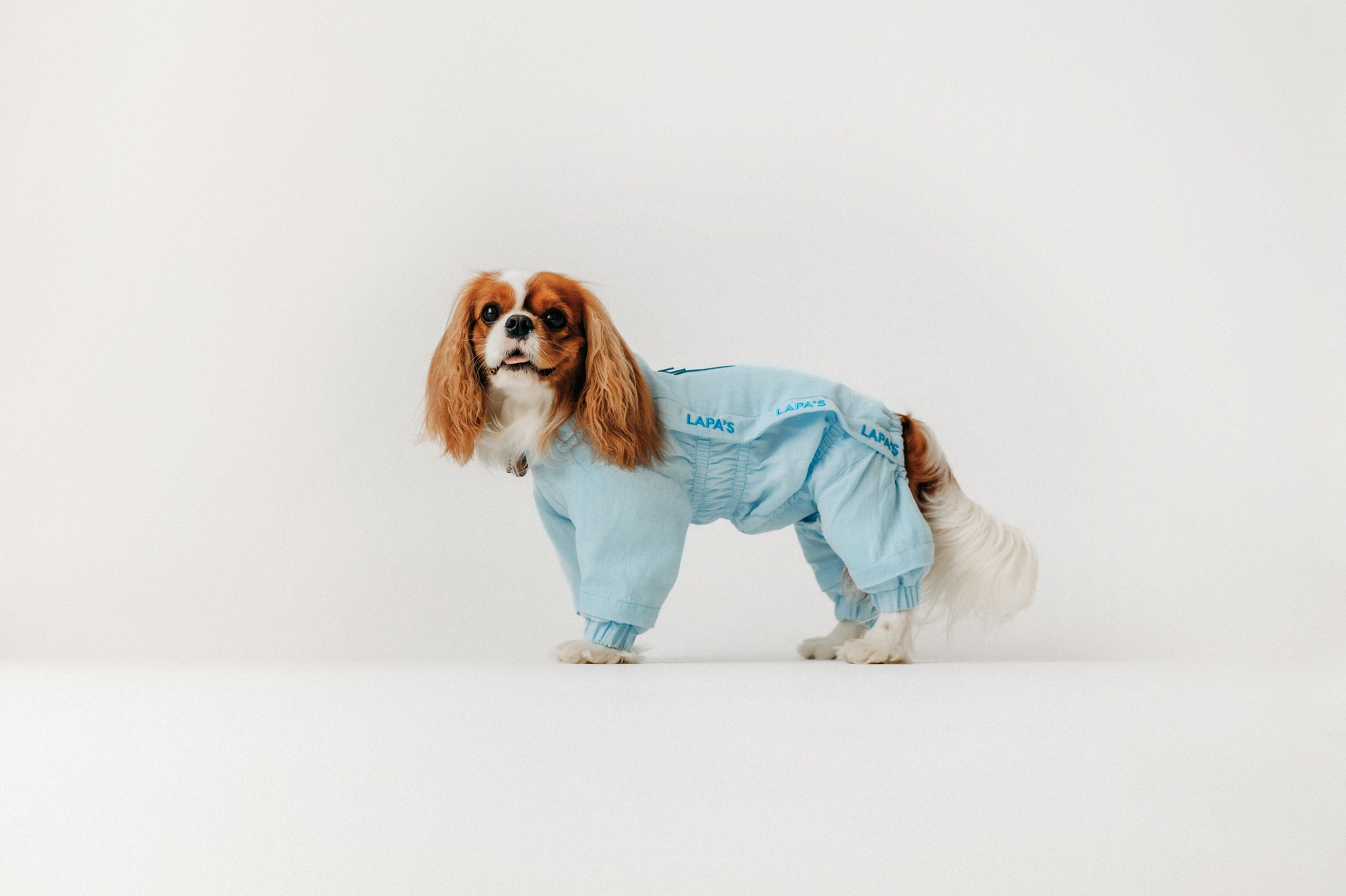 Одежда Lapa`s brand. Фотограф-анималист Елена Радченко, Москва