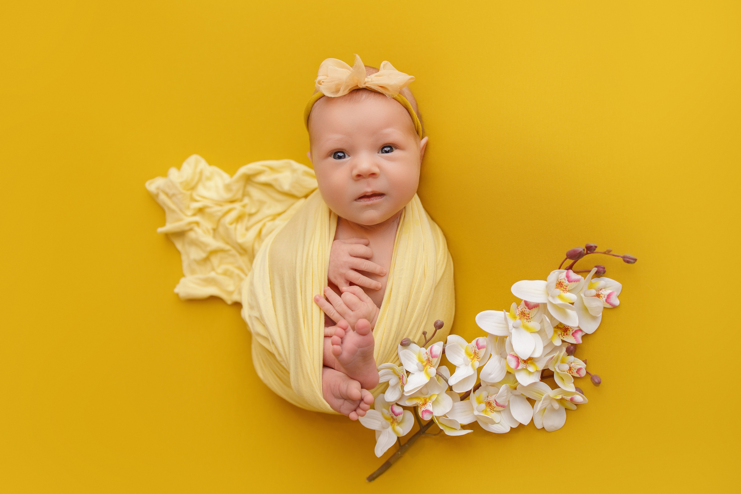 Новорождённые. Фотограф новорождённых в Москве и МО