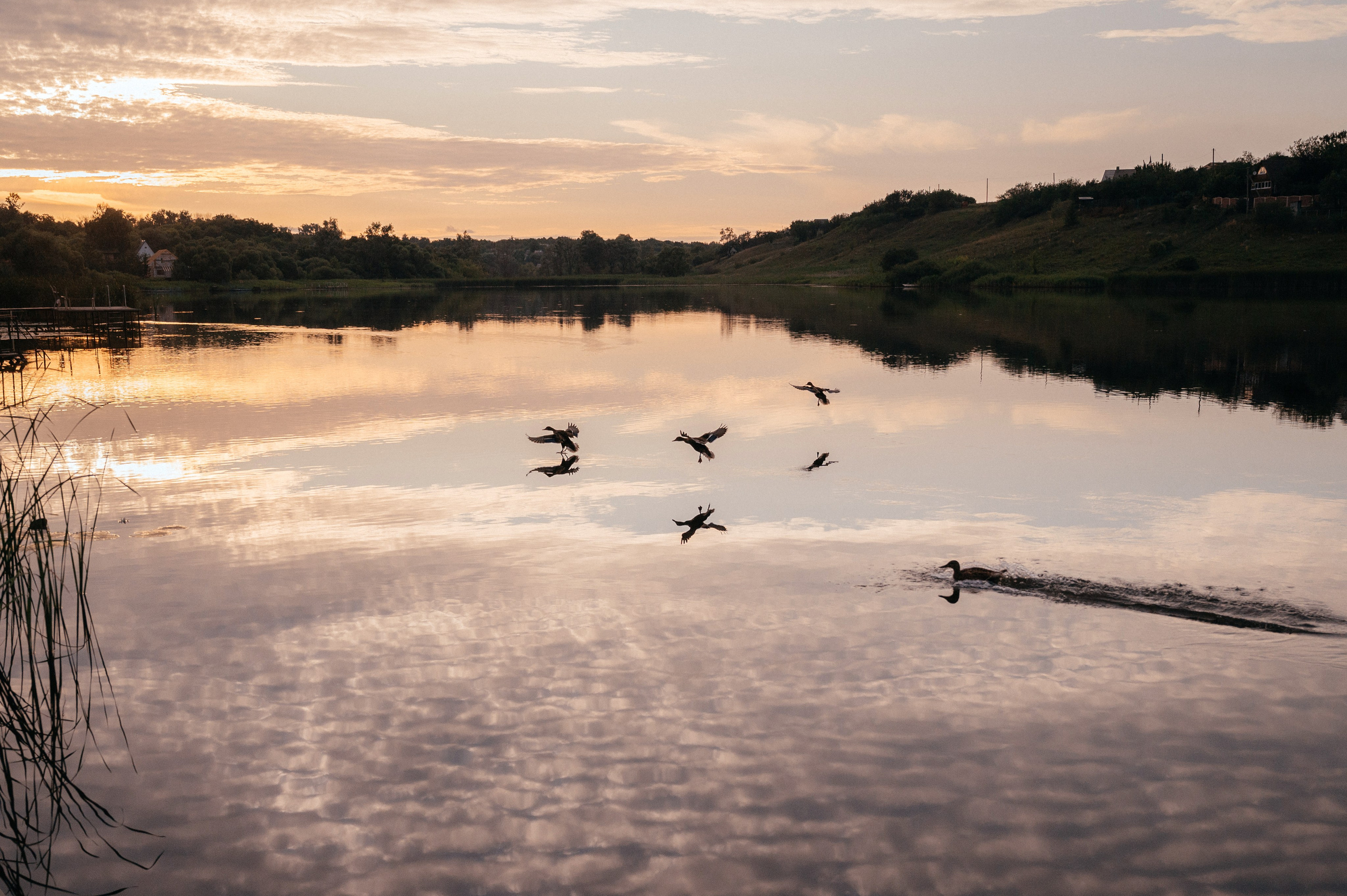 Ваня и Алина. Свадебный фотограф Марина Жемчужникова в Москве и в Белгороде