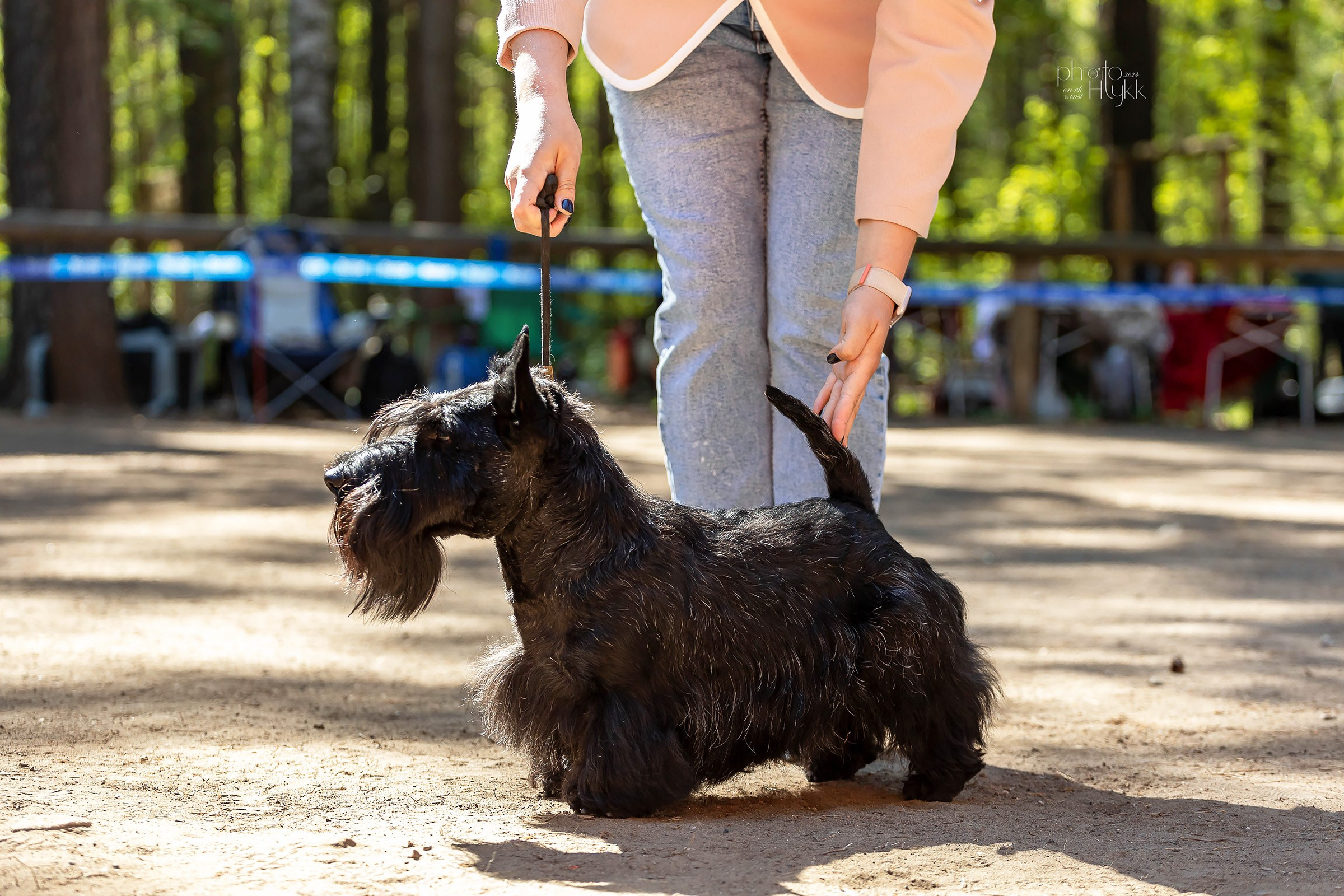 2 июня 2024, Выставка РКФ, г. Пермь. Htykk_photo