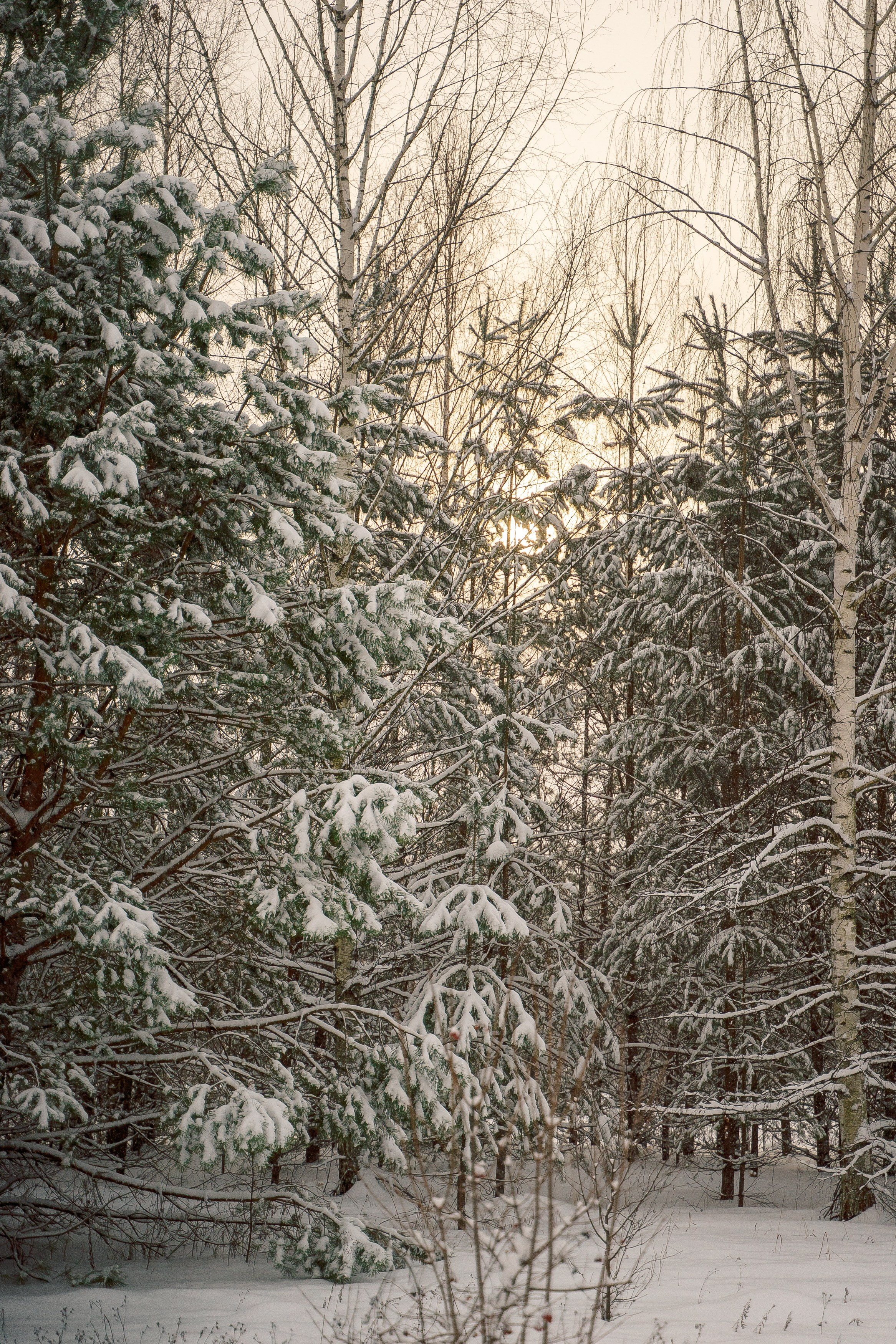 Домик в Лесу. Фотограф в Казани Алсу Багабиева