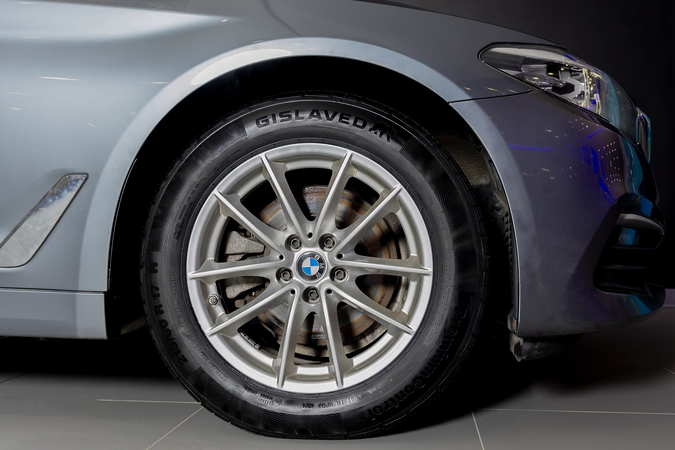 Шины. Photomantis