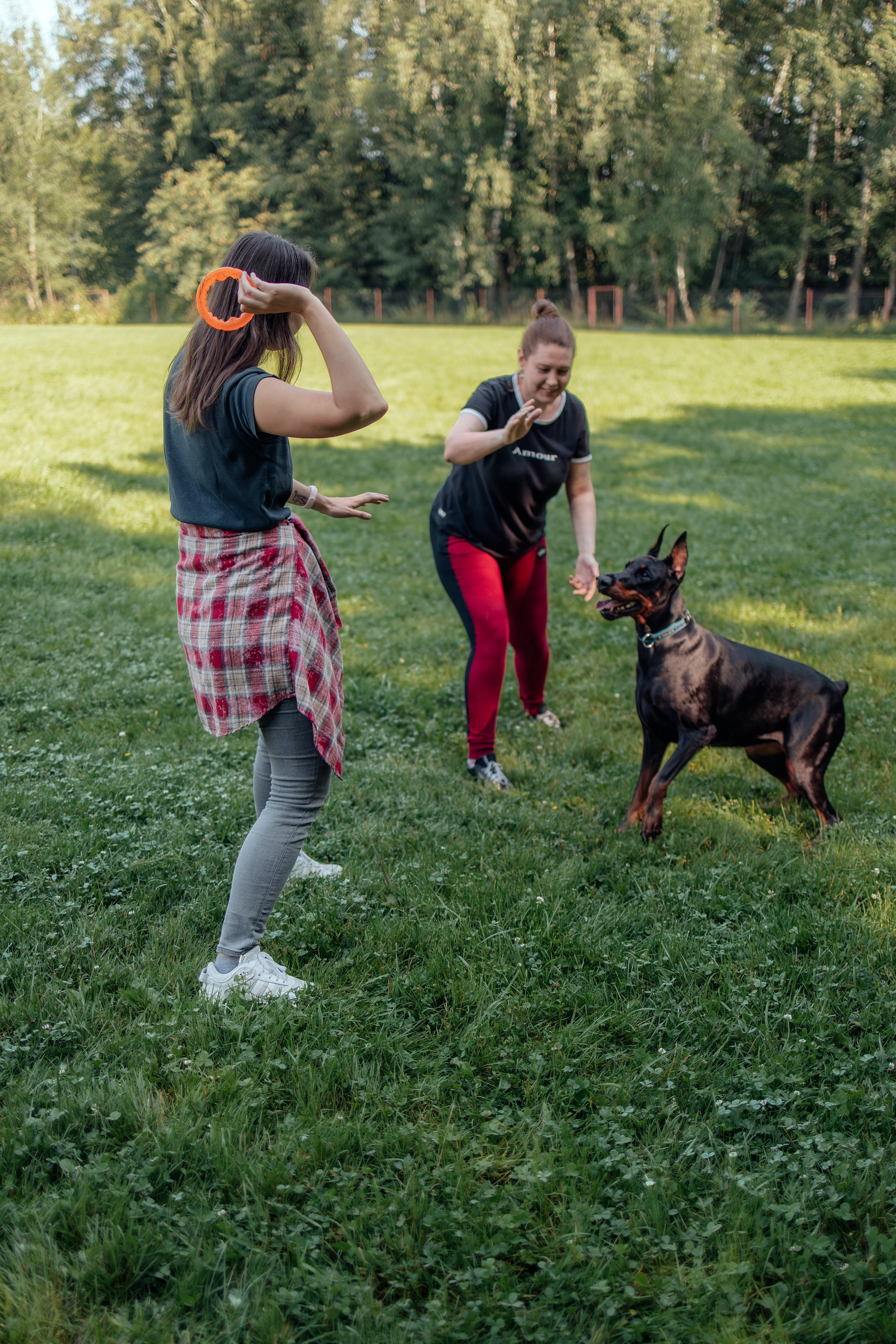 Доберман Айза. Фотограф Анималист в Москве Анастасия Жучкова
