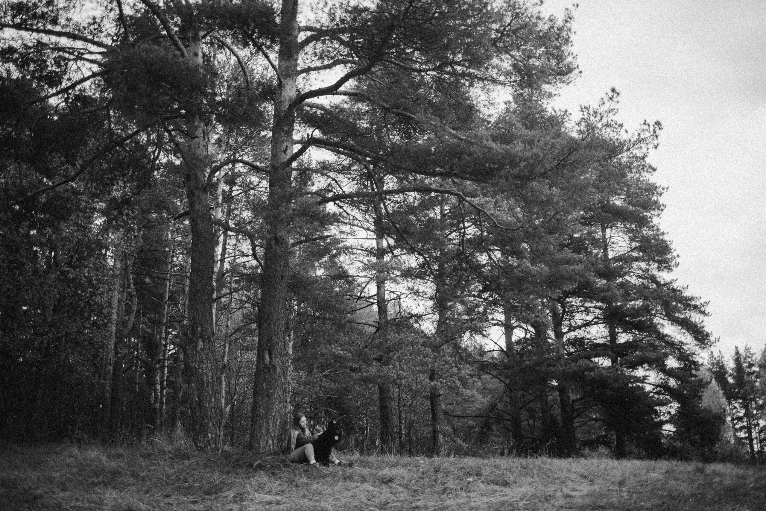 Лора и Джанго. Фотограф — Анималист | Санкт-Петербург