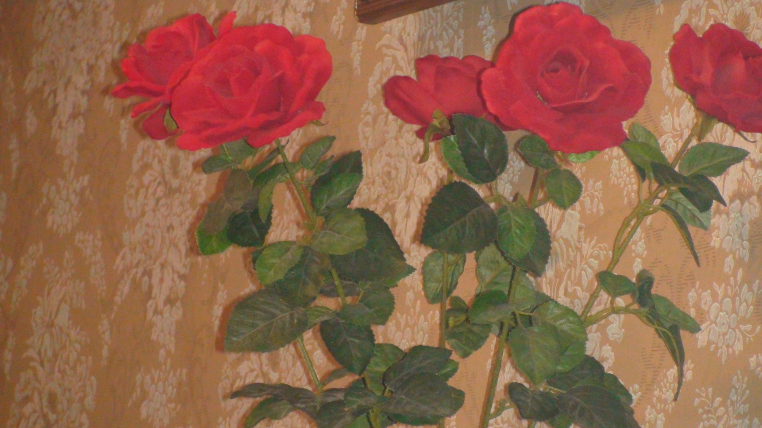 Отпуск с Видеокамеры. Семейный, Свадебный фотограф СПБ Питер— Романова Екатерина