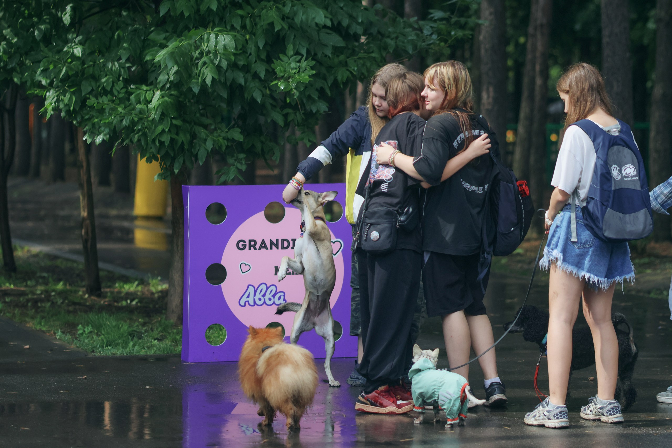 Четыре Лапы. Свадебный и репортажный фотограф Дмитрий Кононенко