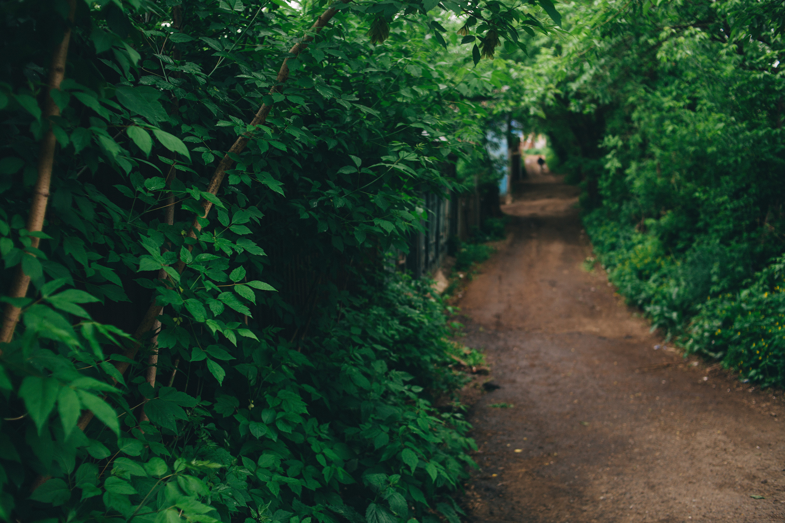 Rustem and Kseniya, 2018. Photographer in Serbia Azaliia Fomina