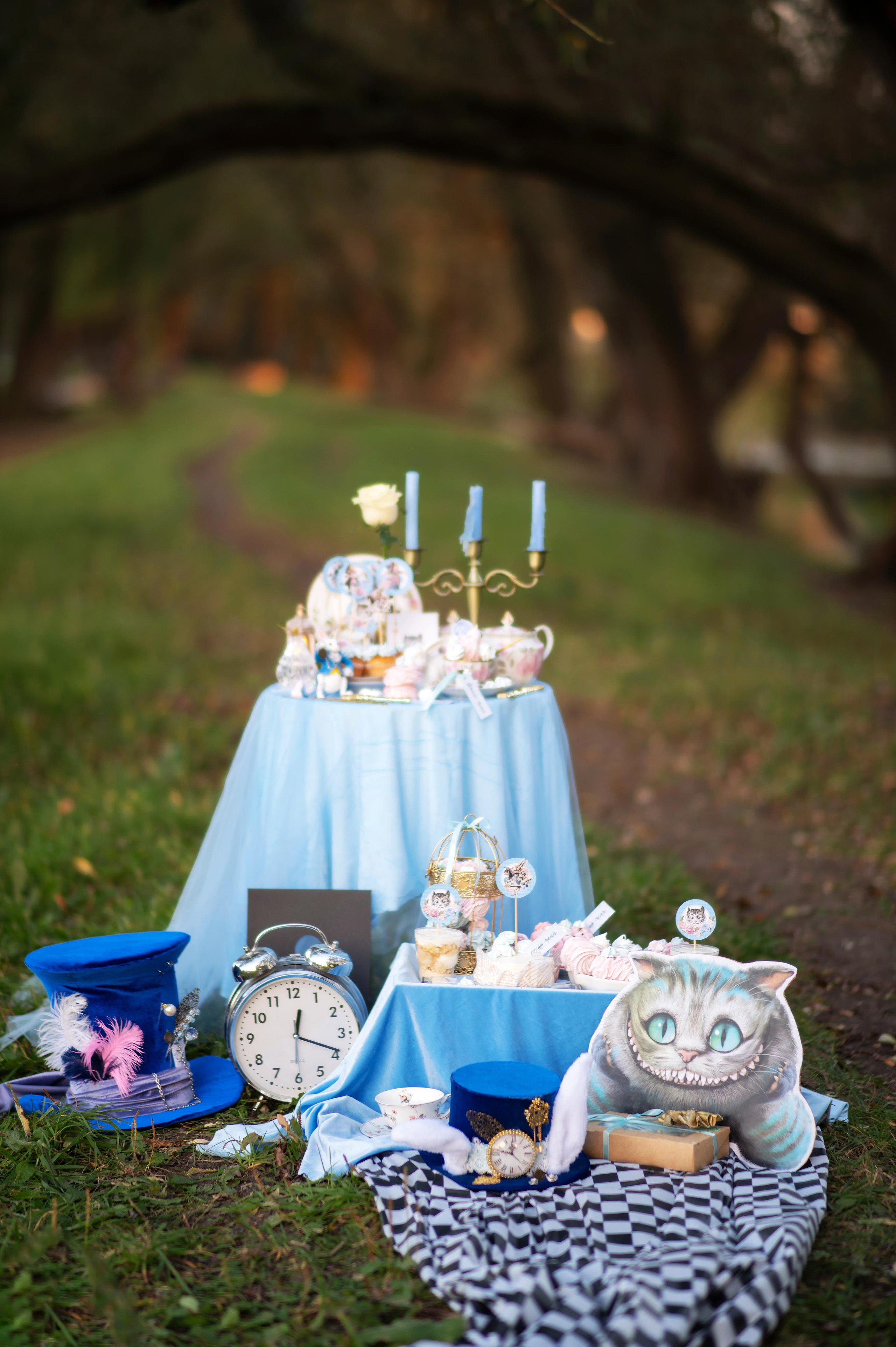 Алиса в стране чудес. Детский и семейный фотограф Москва Рязань