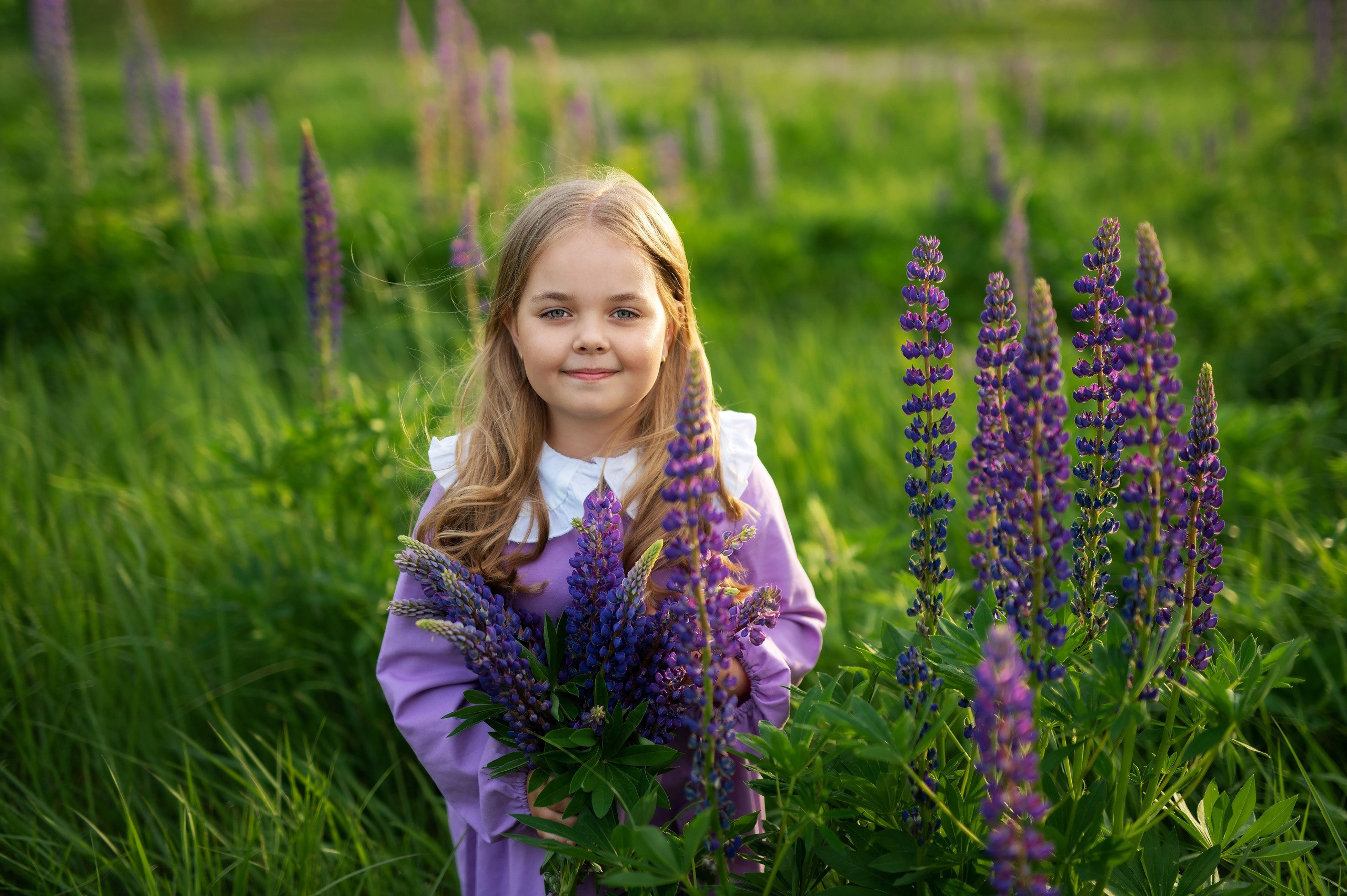 Люпины. Детский и семейный фотограф Москва Рязань