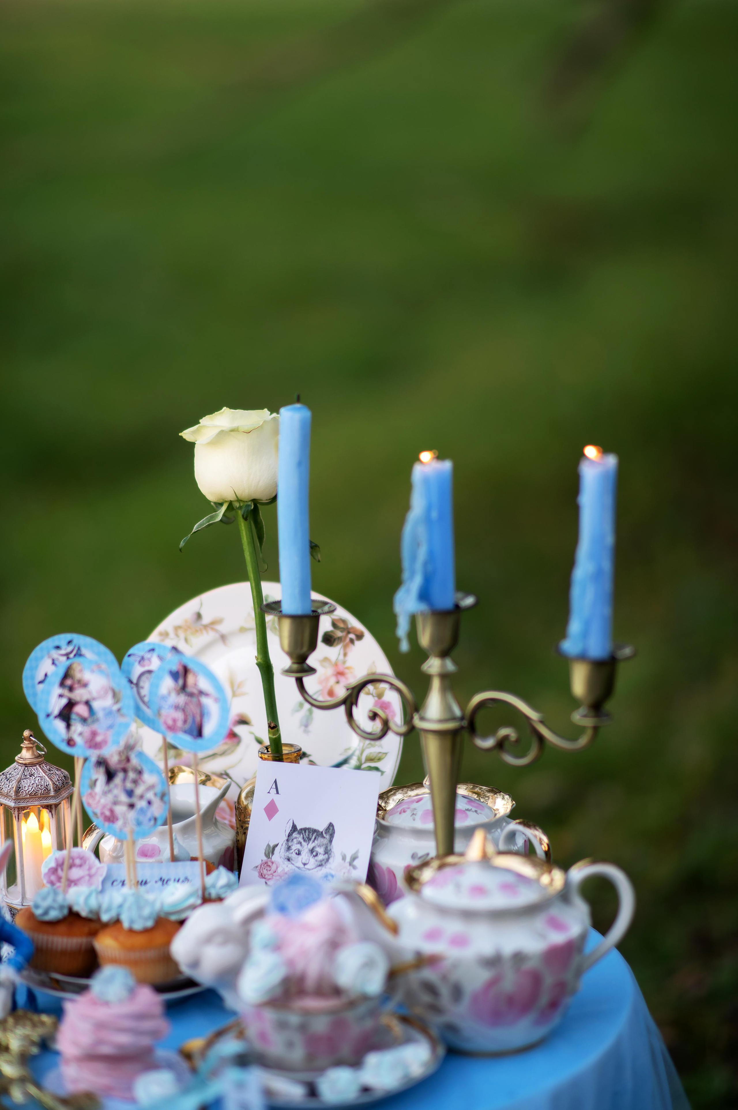 Алиса в стране чудес. Детский и семейный фотограф Москва Рязань