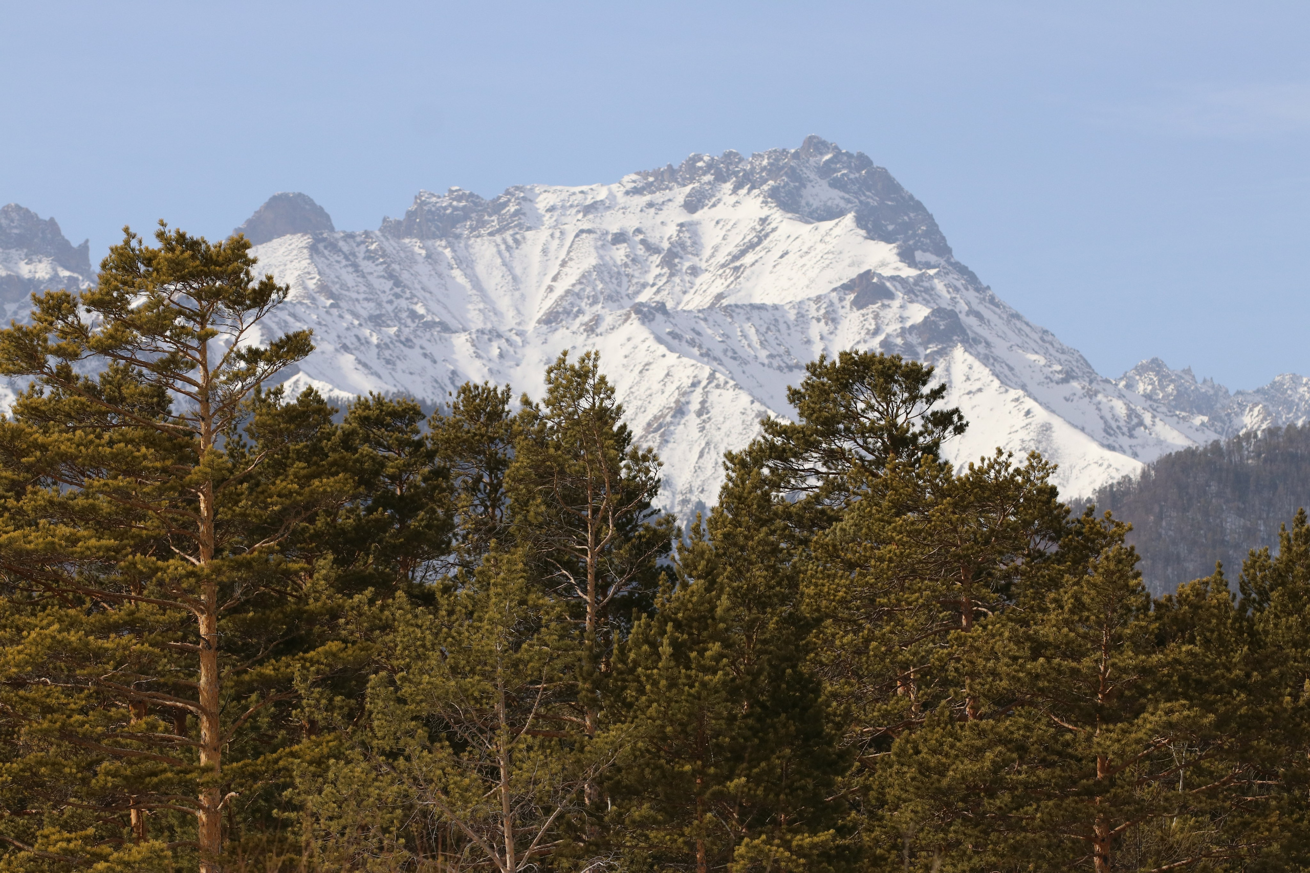 Аршан. Март 2023. Путешественник-фотограф из Санкт-Петербурга Татьяна Свистулина