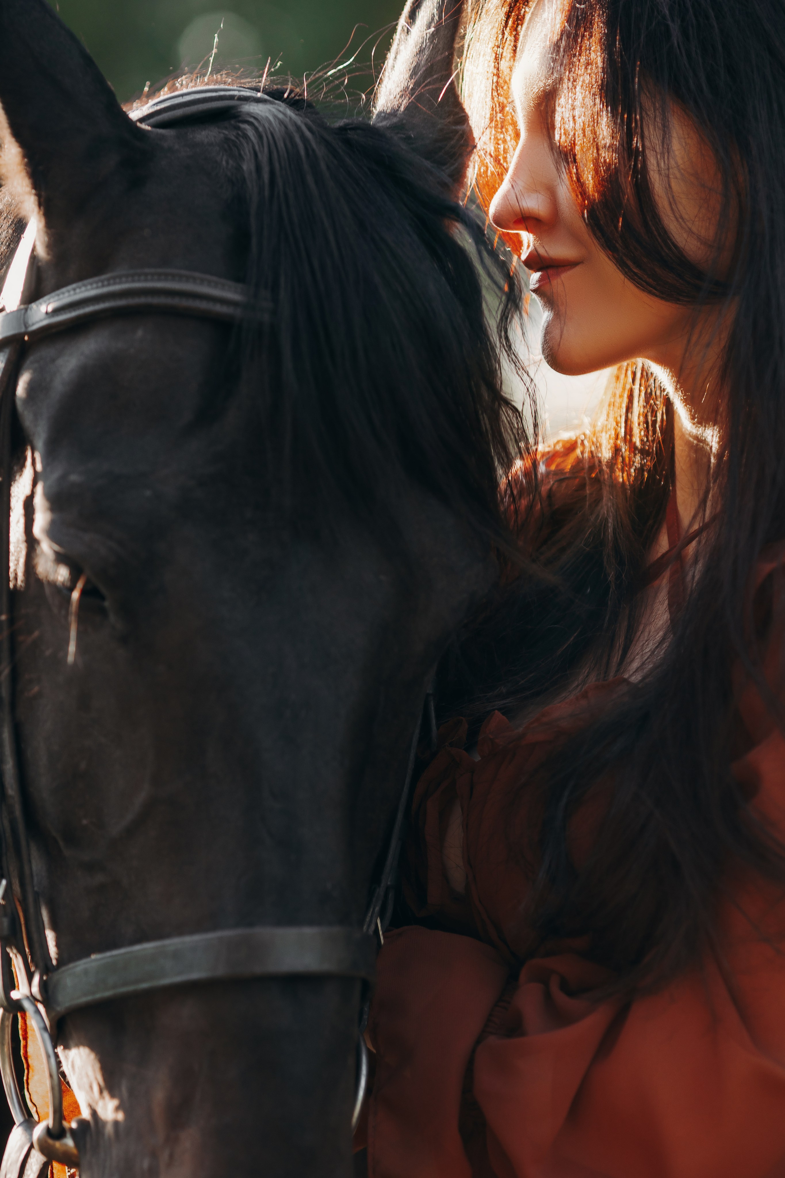 Анна Молчанова конный фотограф в Тюмени | фотосессии с лошадьми Тюмень