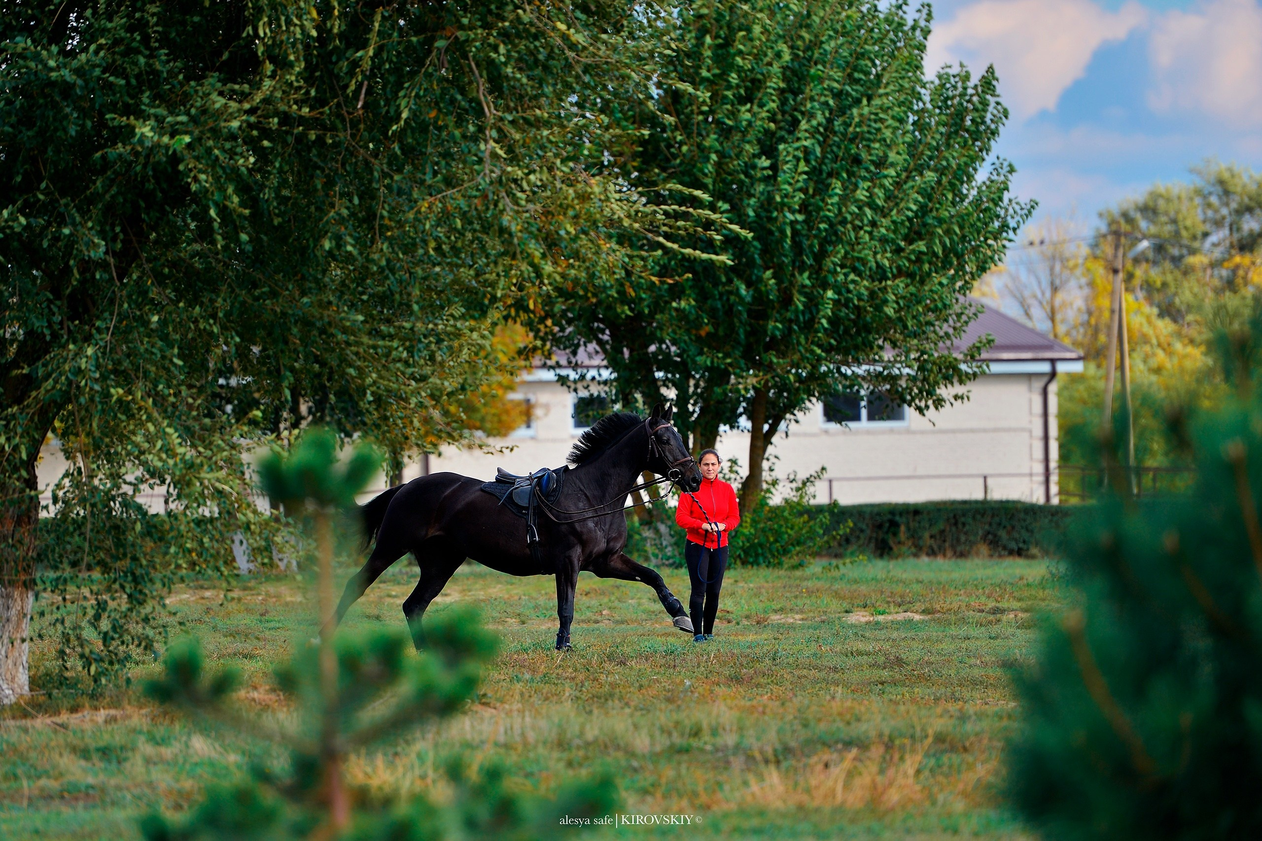 Кировский конный завод. Конный фотограф Alesya Safe