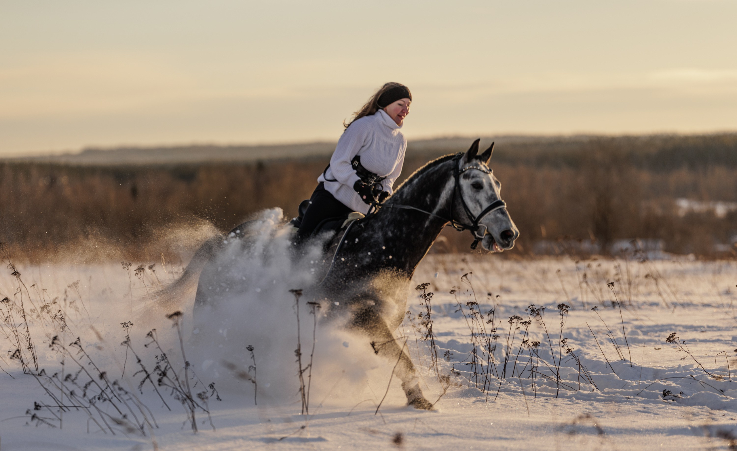 Аренда лошадей для фотосессии в Петрозаводске. Фотограф Варвара Ермоленко