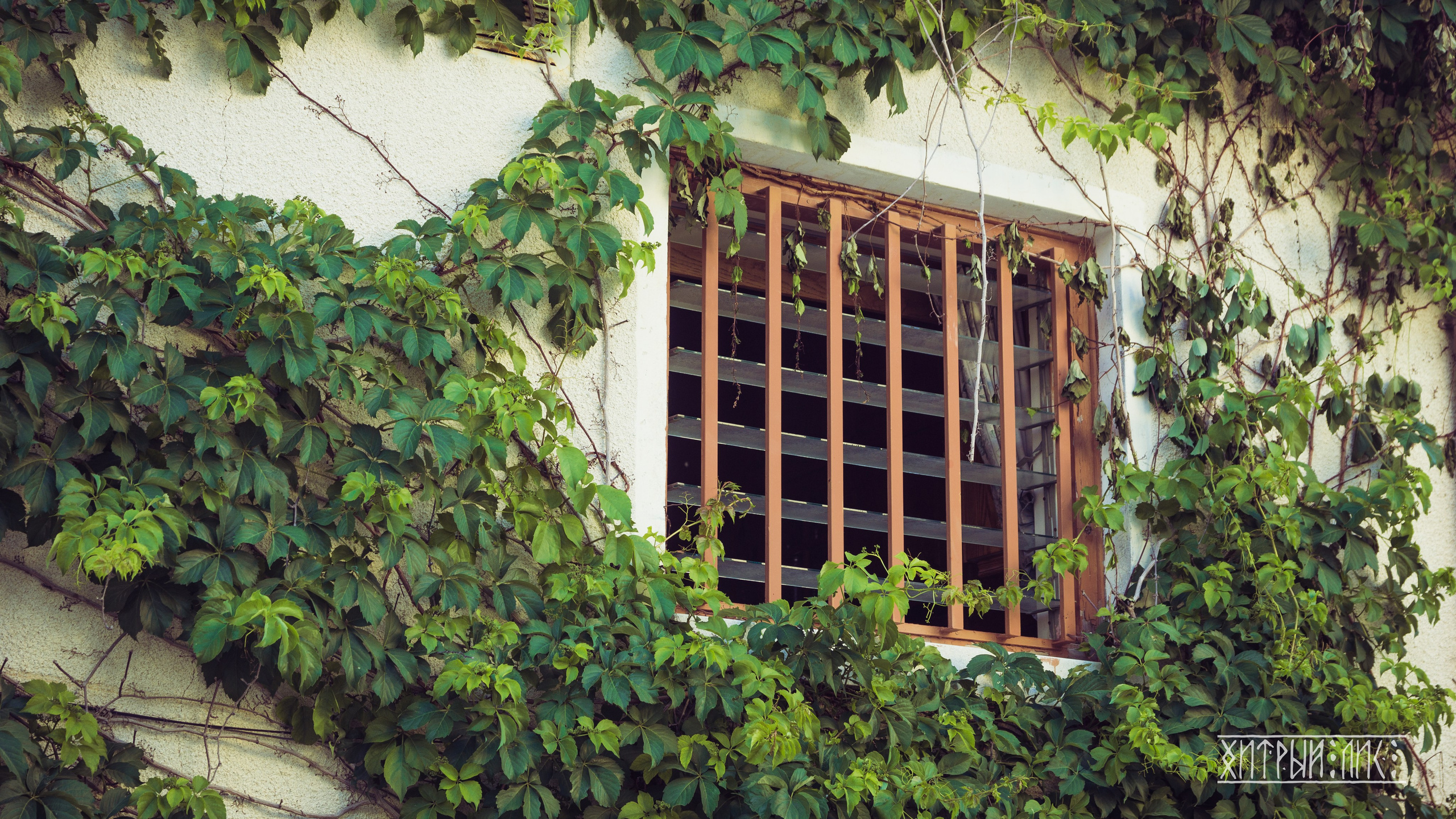 Кипр. Фотограф-путешественник Самойлов Максим «Sly Fox»