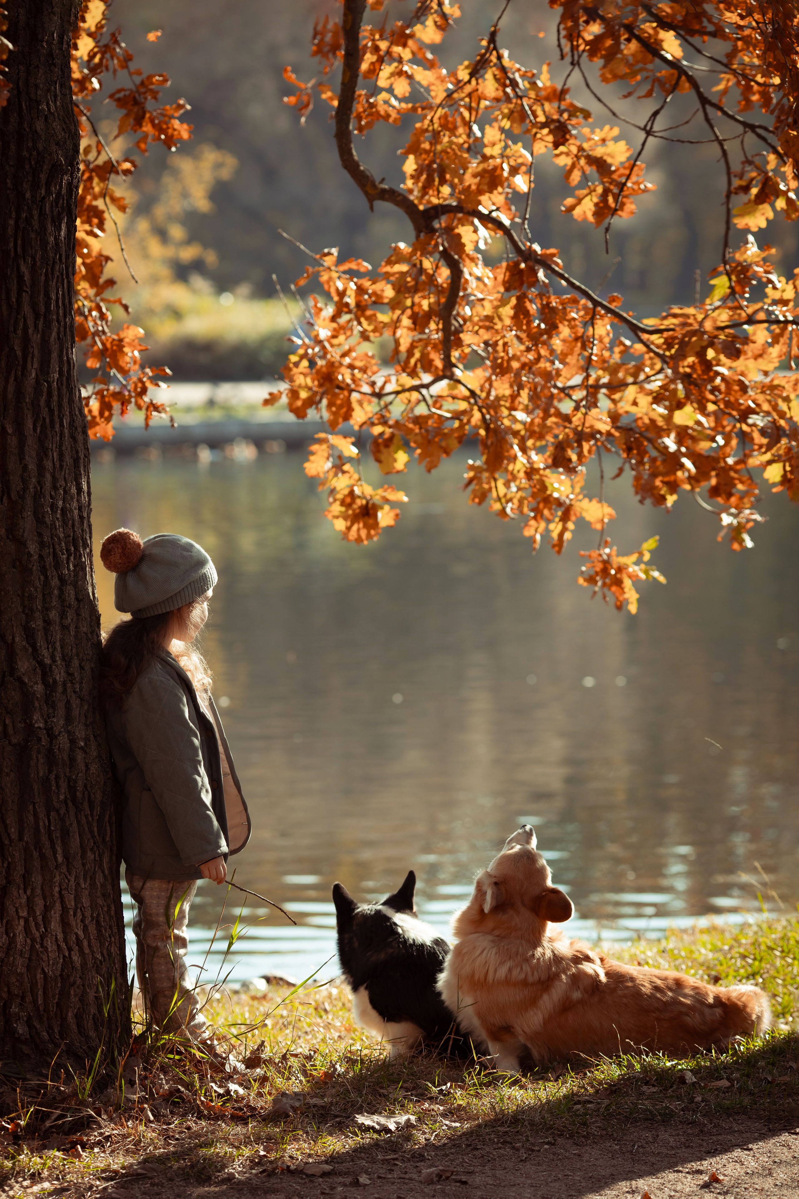 Эва с корги. Семейный и детский фотограф в Москве Дорогова Екатерина