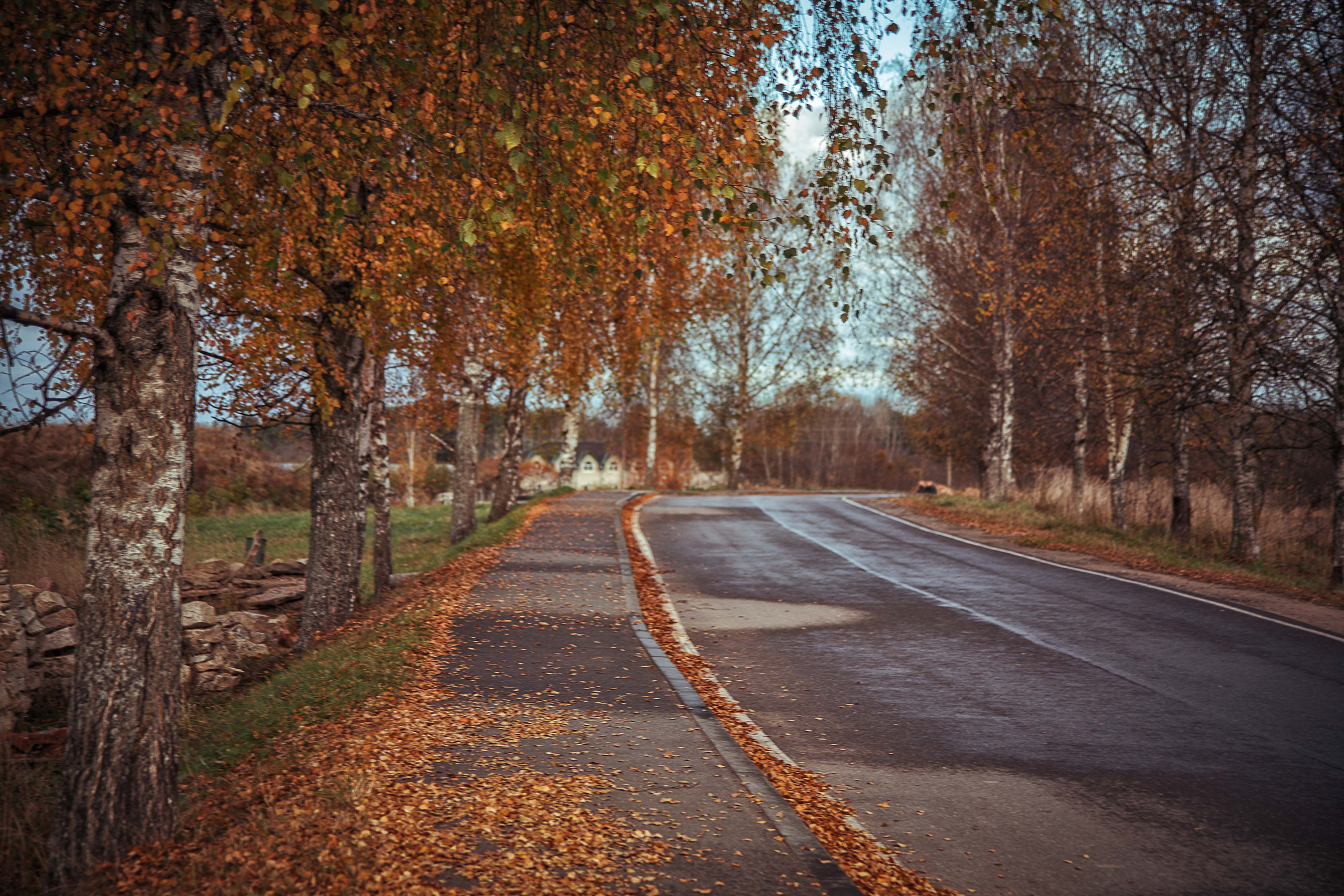 Печеры. Семейный и детский фотограф в Москве Ольга Кривенцова