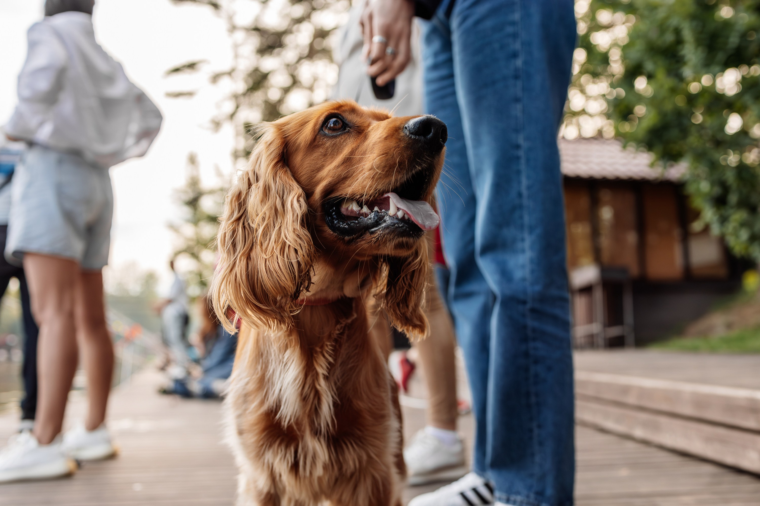 Корпоративная Рыбалка. Главная