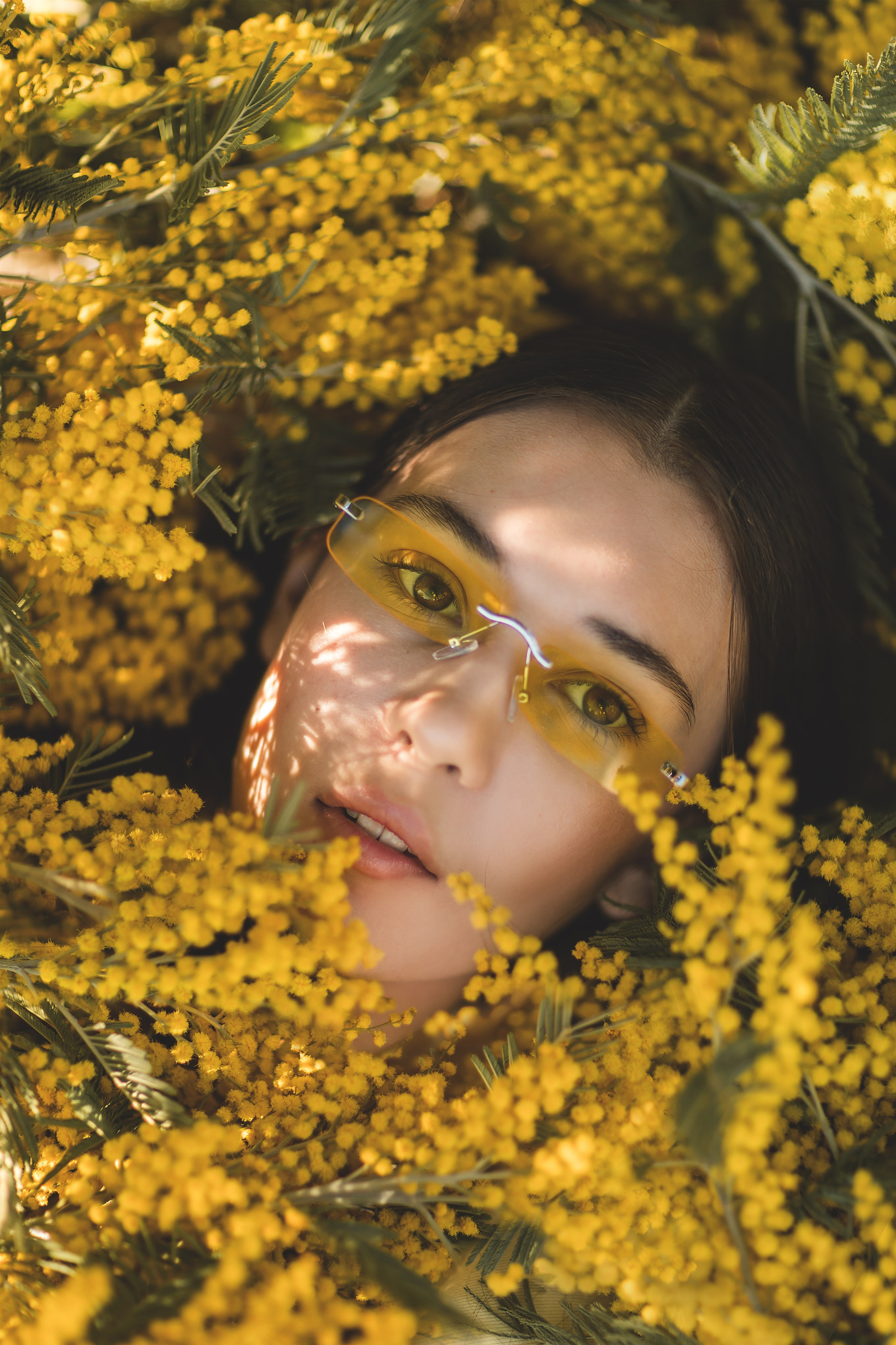 Мимоза. Семейный и детский фотограф Краснодар Валерия Власенко