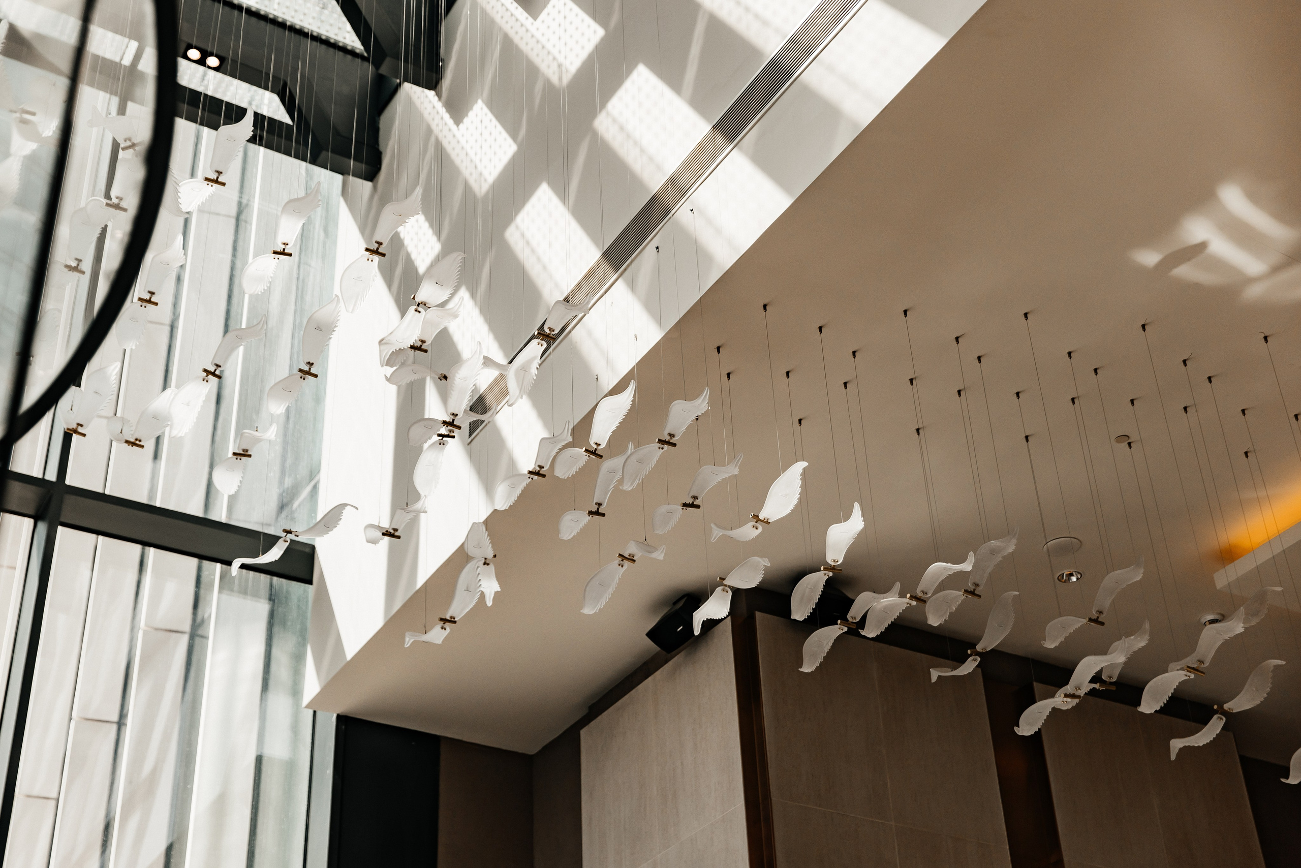 Кирилл и Анастасия. Фотограф Москва Шептаев Артём