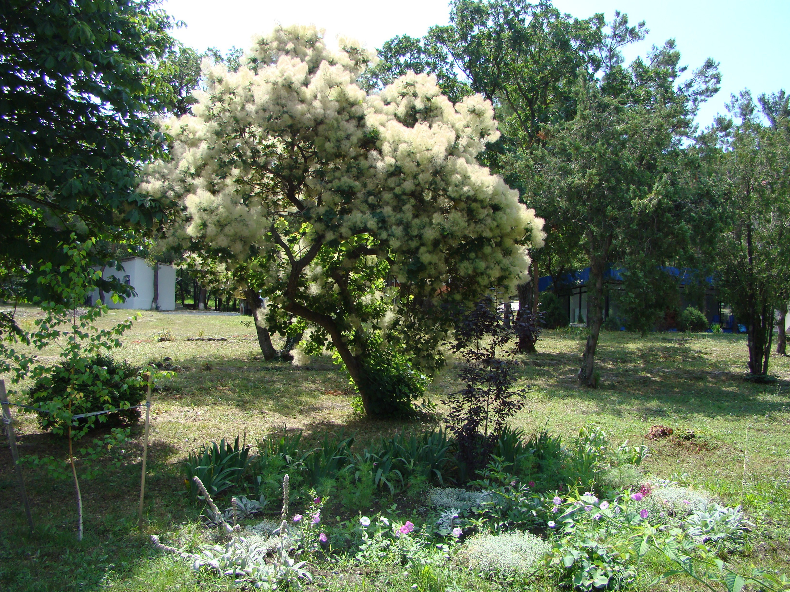 Кабардинка (фото Зевиных) 25.06-24.07.2008. Семейный, Свадебный фотограф СПБ Питер— Романова Екатерина
