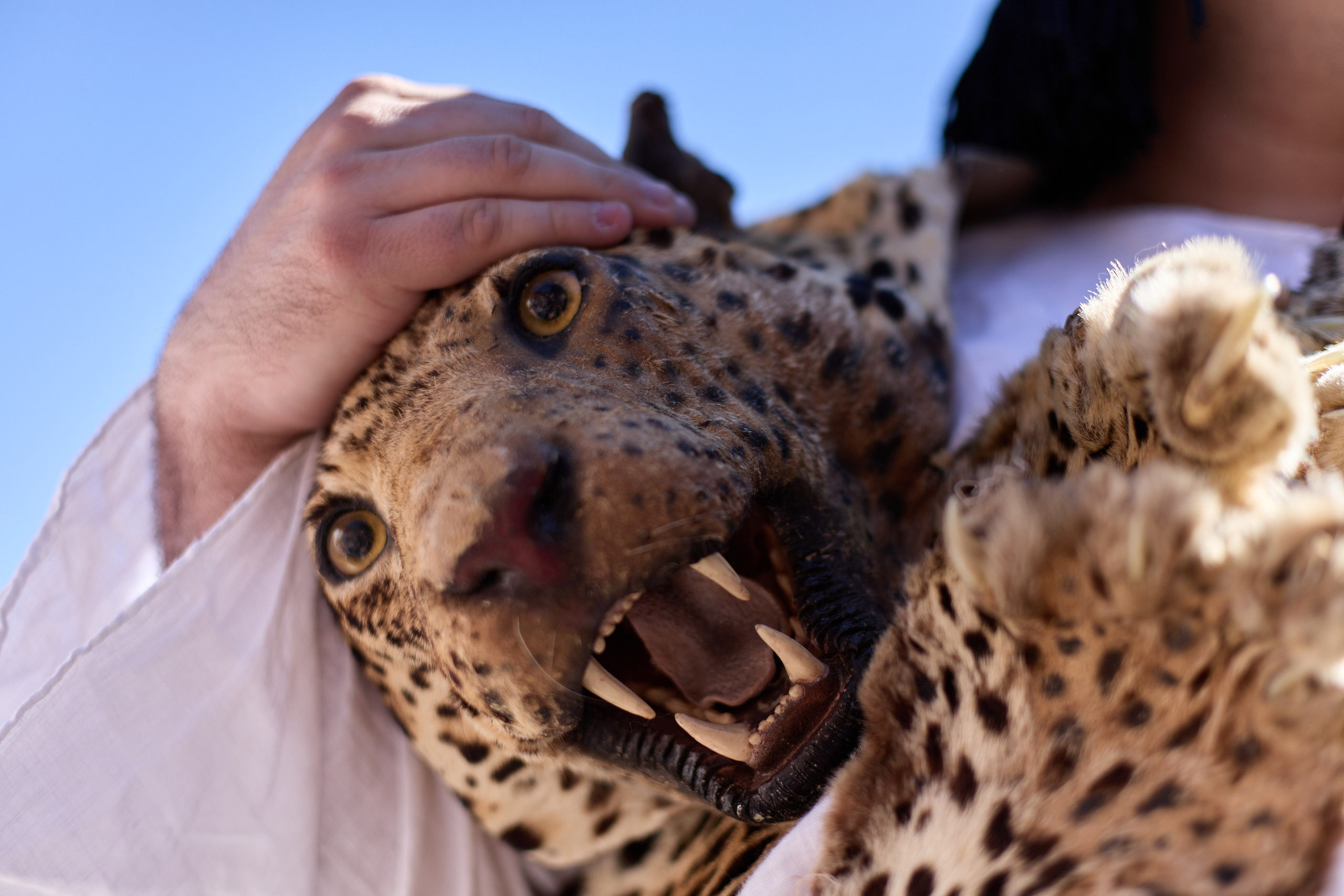 Репортажный фотограф Тула