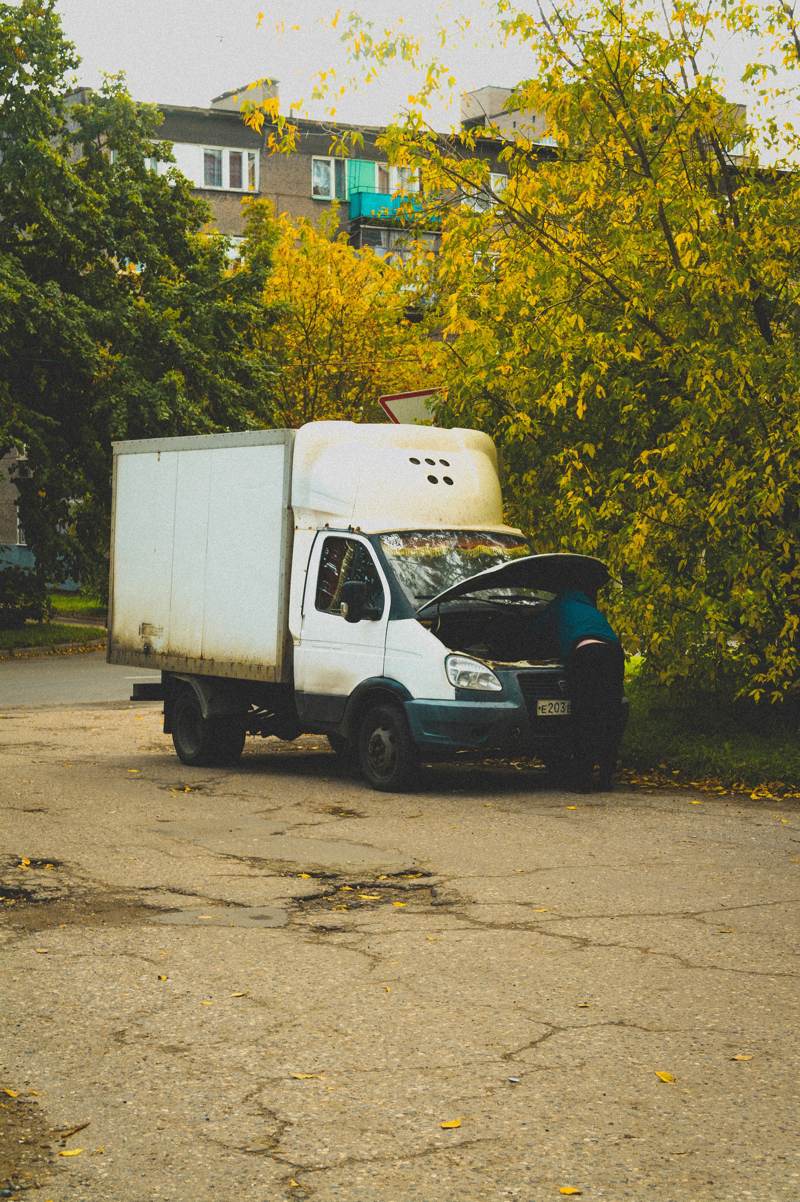 Октябрь 2025. Den Mirov — Фотограф, Музыкант