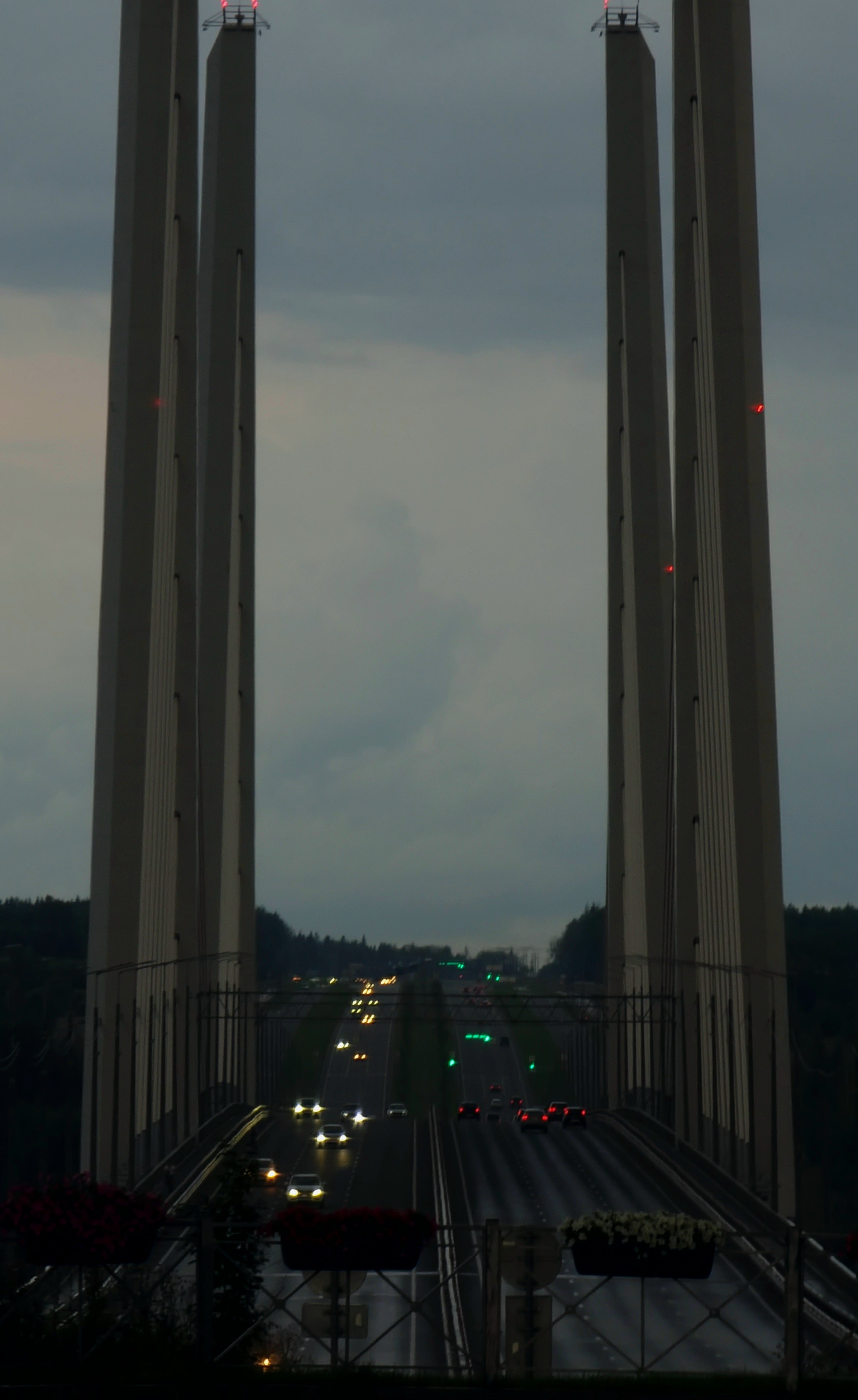 Август 2025. Den Mirov — Фотограф, Музыкант